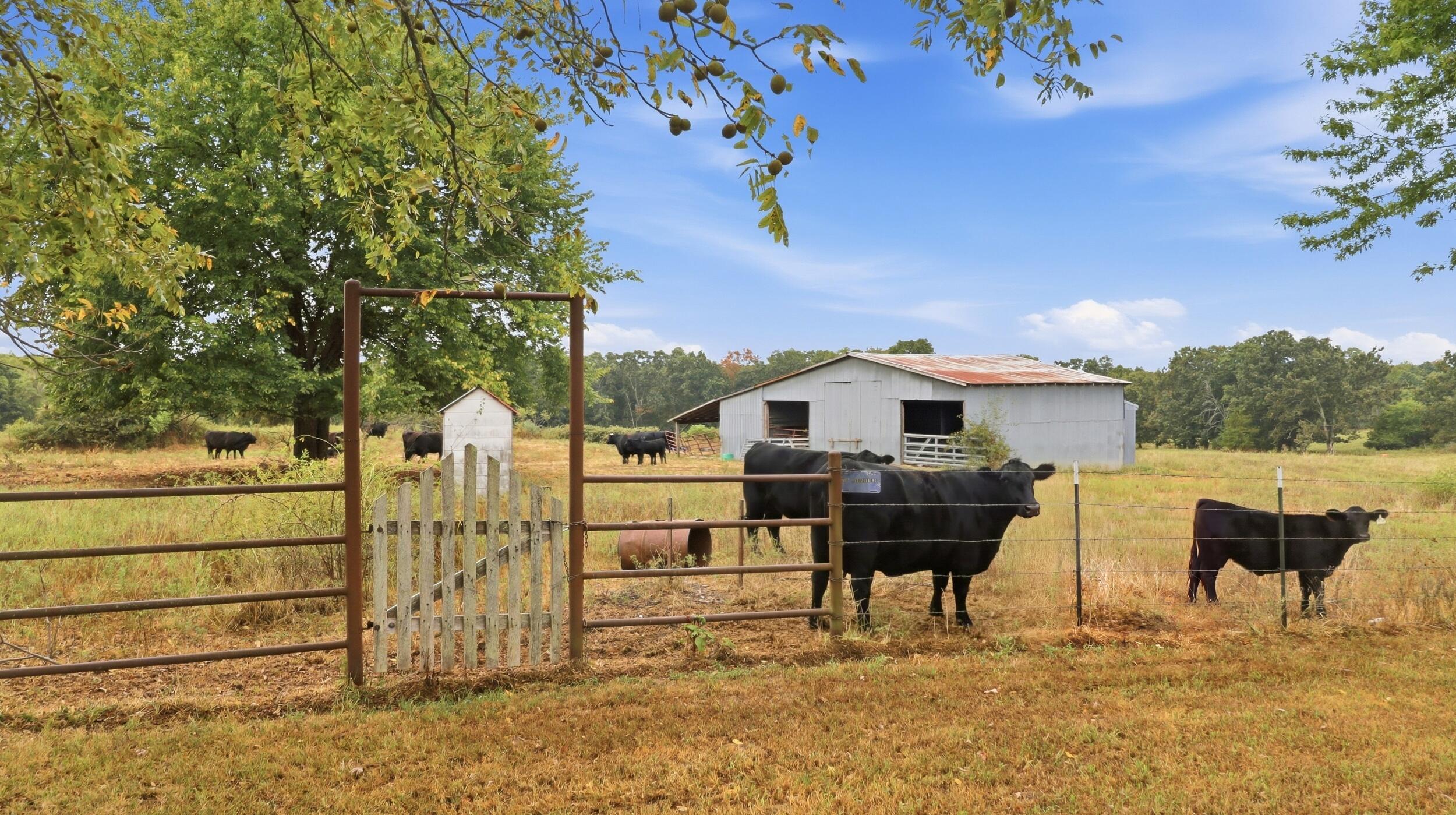 17108 Highway B Property Photo 46