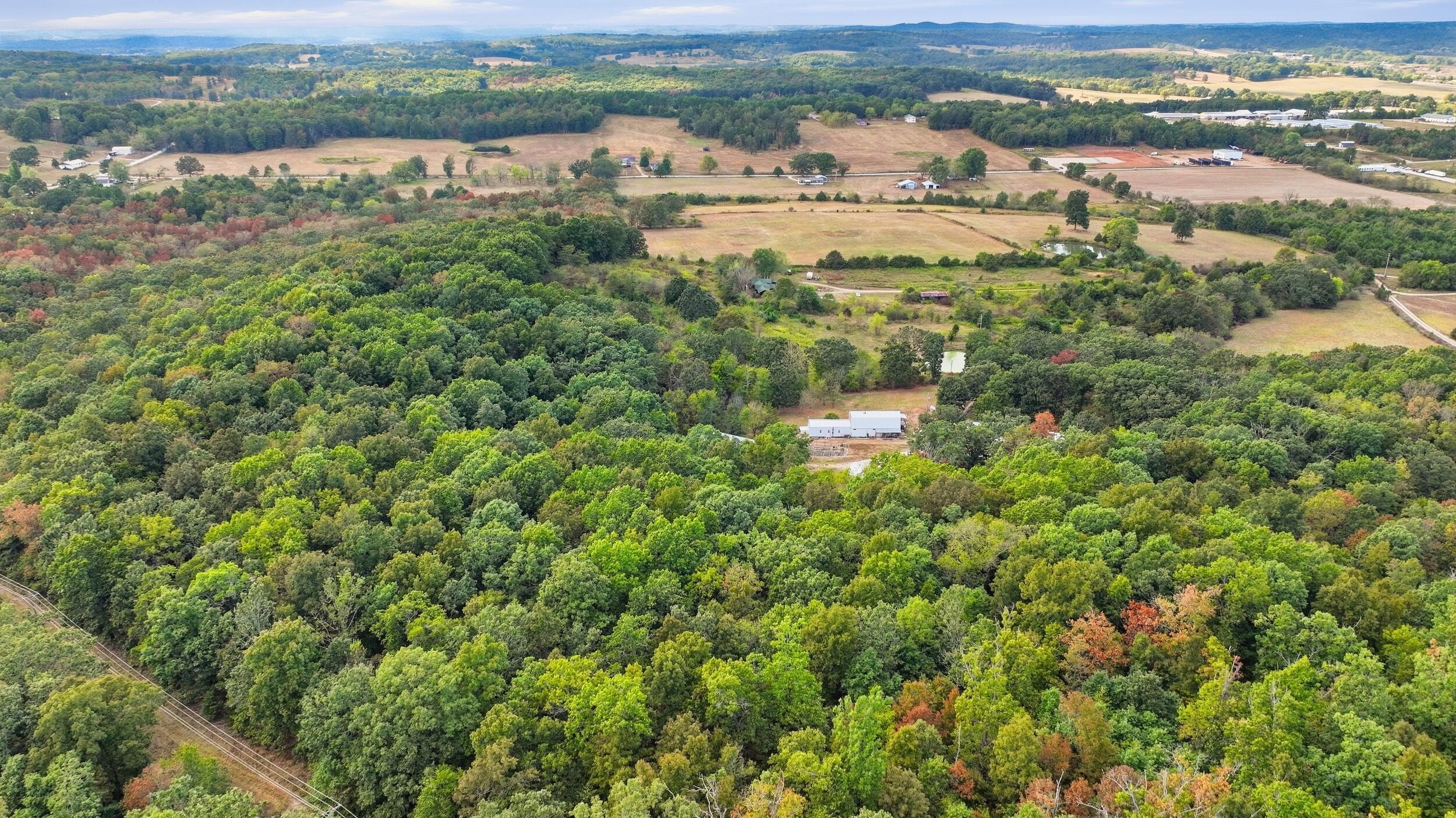 1804 Bluebird Road Property Photo 17