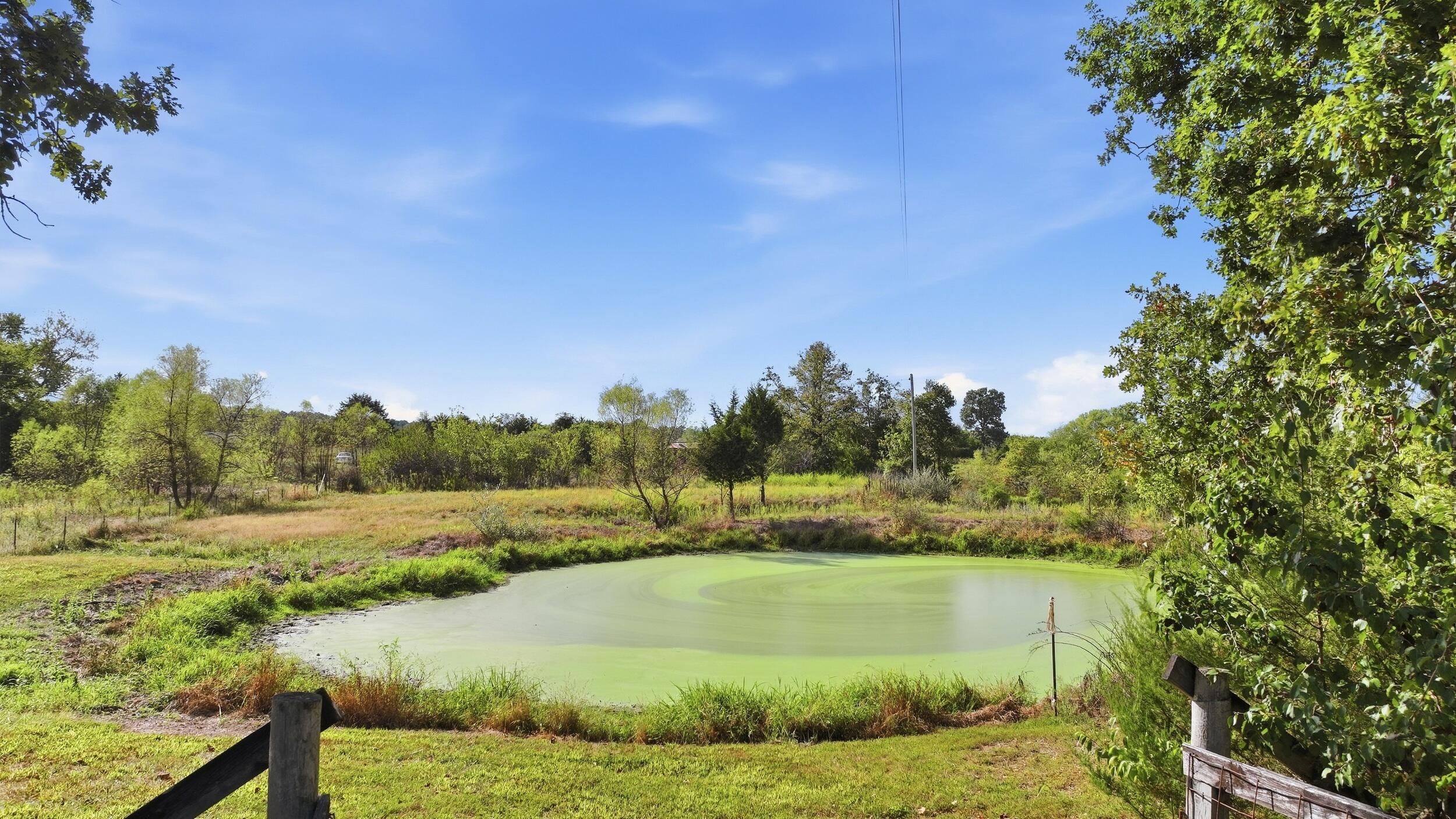 1804 Bluebird Road Property Photo 26