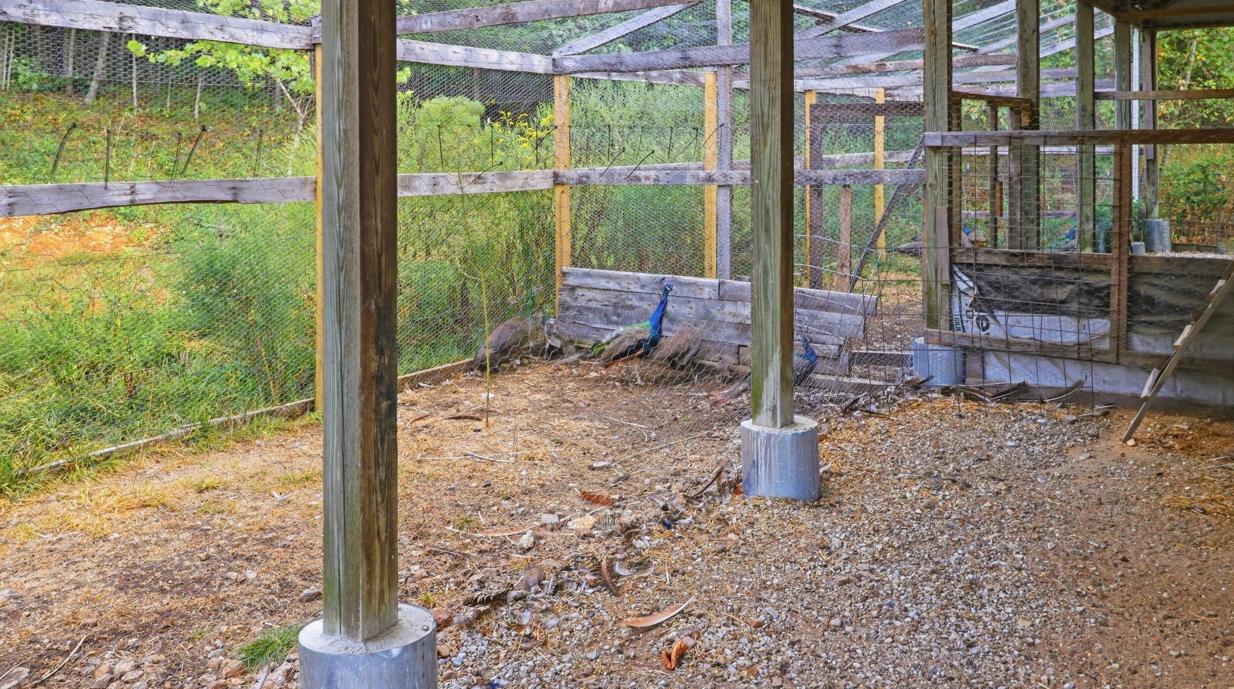 1804 Bluebird Road Property Photo 87