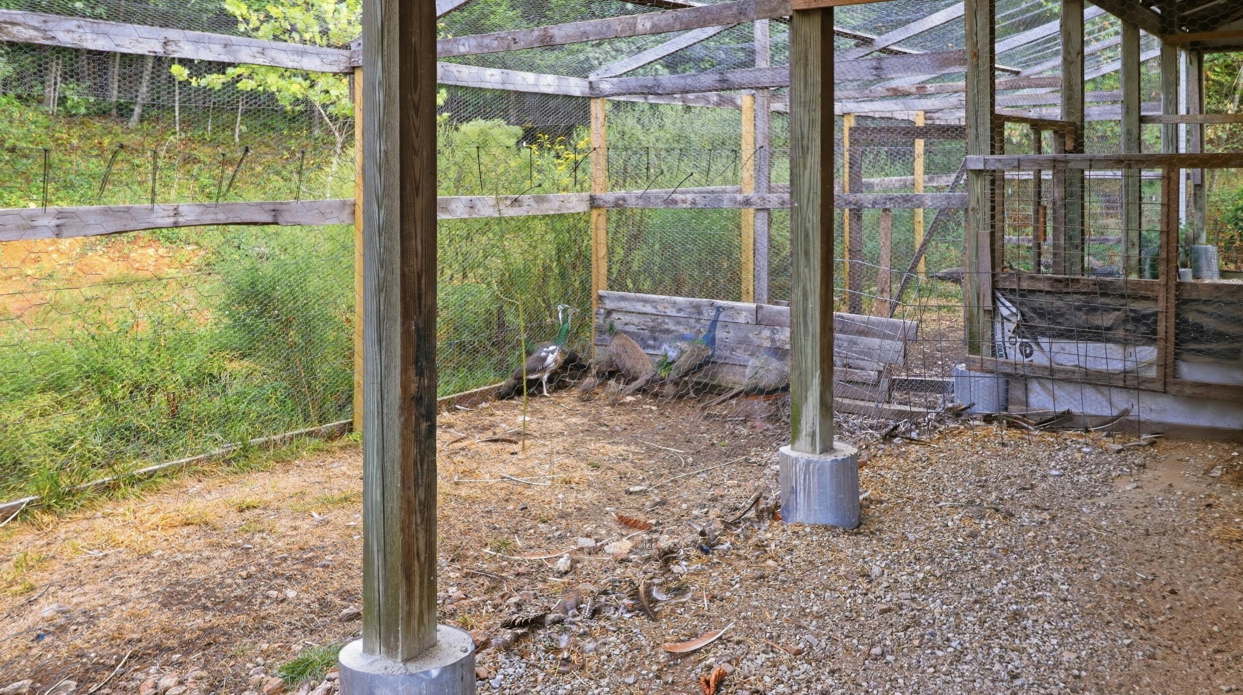 1804 Bluebird Road Property Photo 88