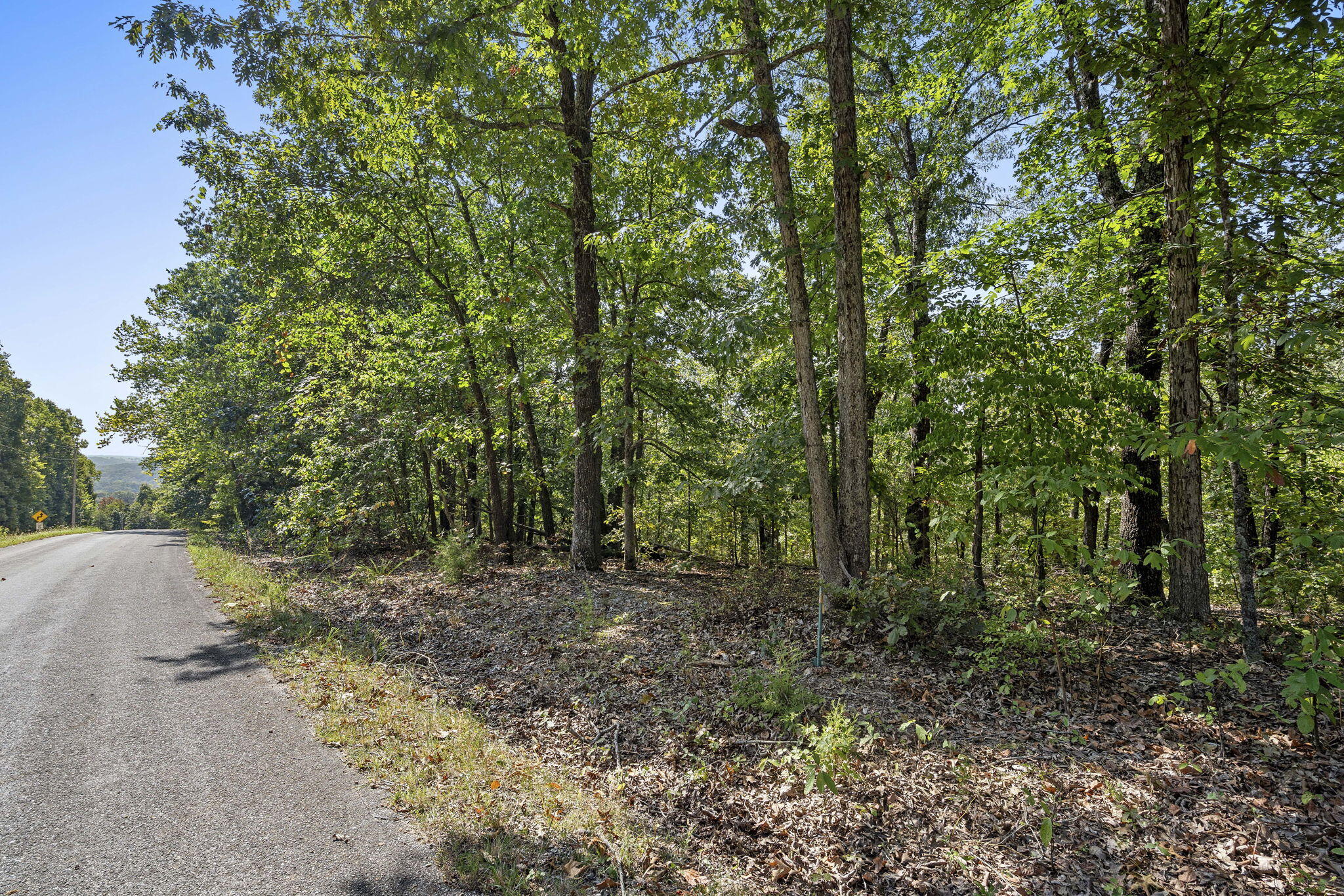 Lot 120 Walnut Springs Drive Property Photo 4