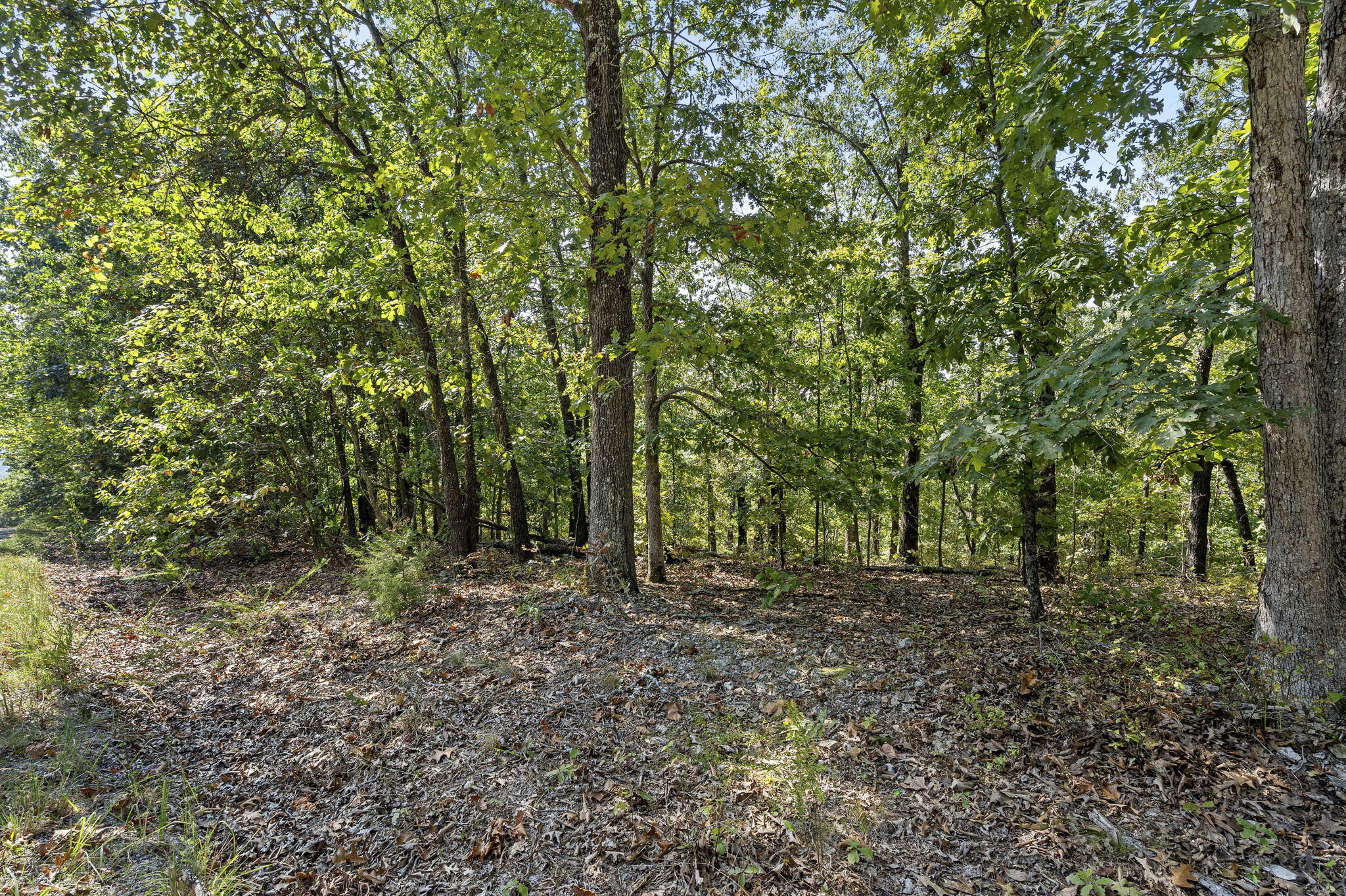 Lot 120 Walnut Springs Drive Property Photo 6