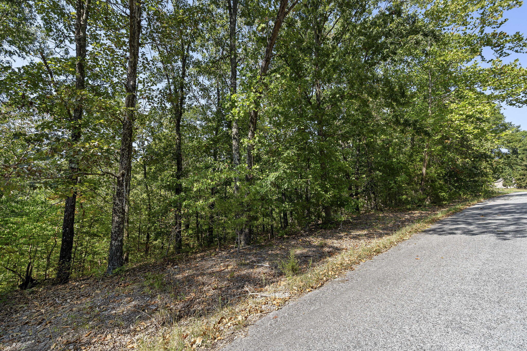 Lot 120 Walnut Springs Drive Property Photo 7