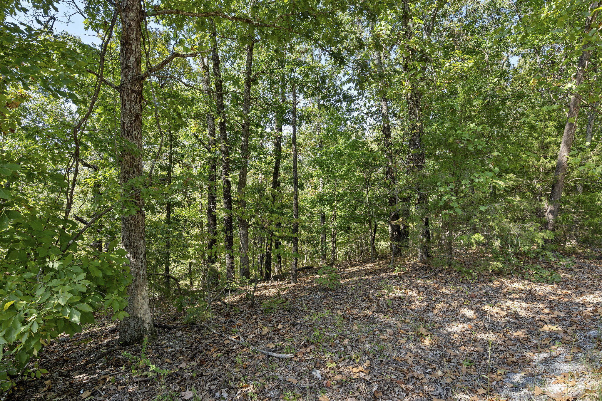 Lot 120 Walnut Springs Drive Property Photo 8