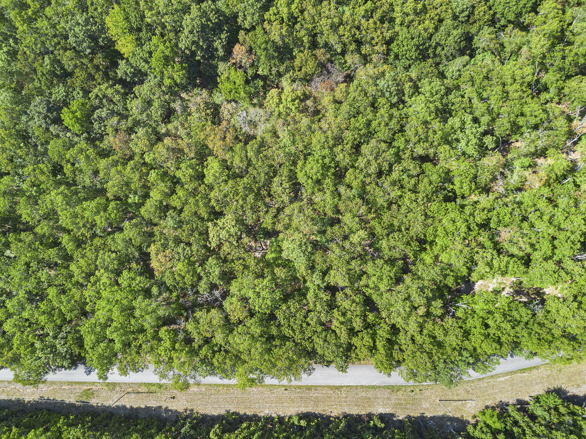 Lot 120 Walnut Springs Drive Property Photo 9
