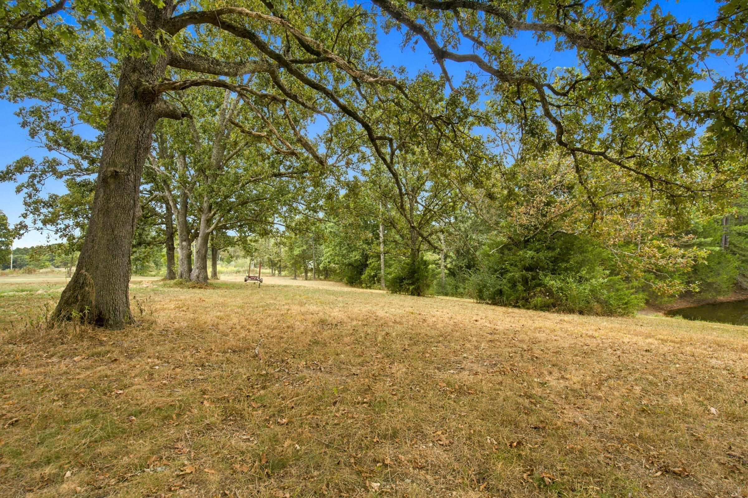 1800 County Road 1030 Property Photo 34