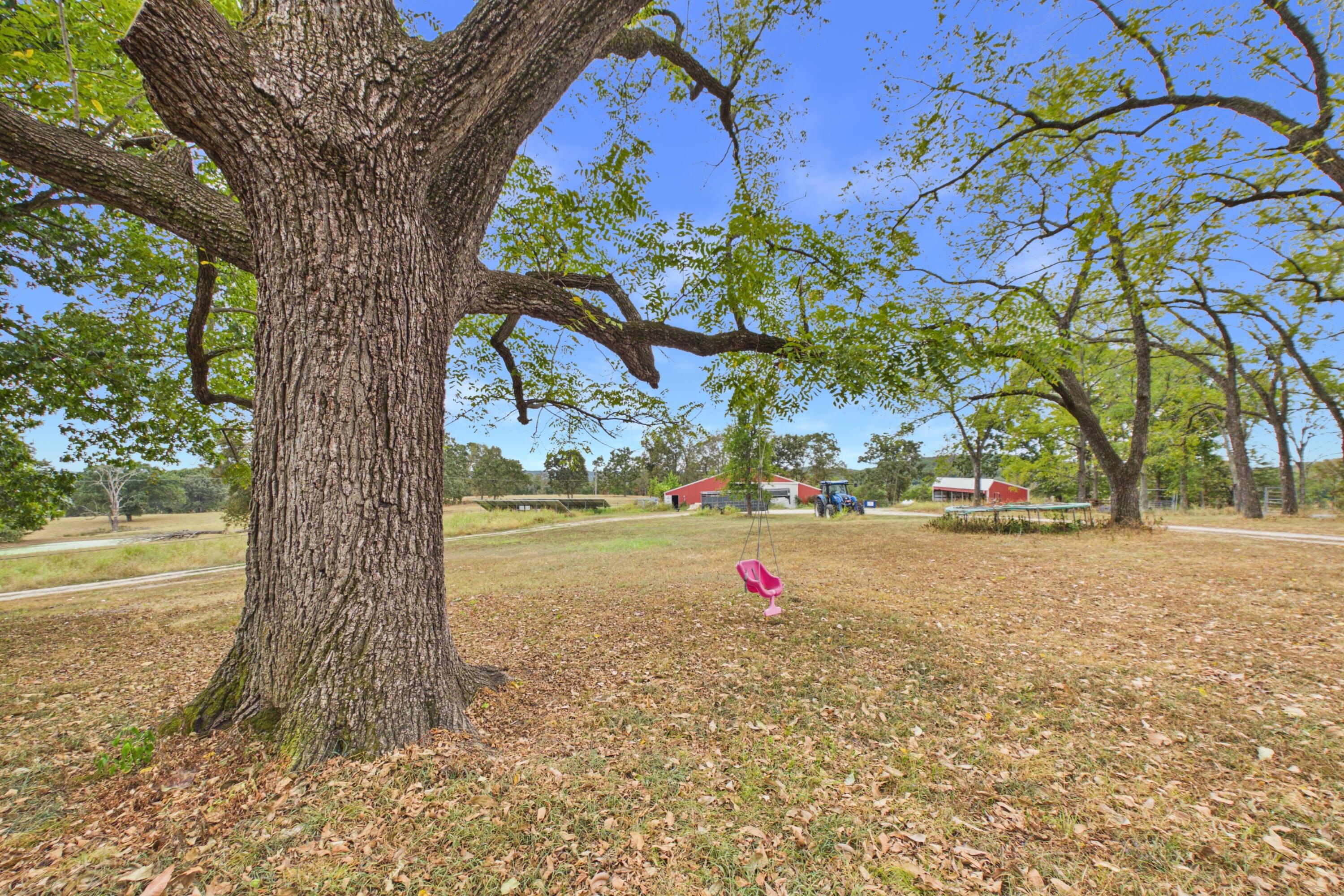 251 County Road 323 Property Photo 28