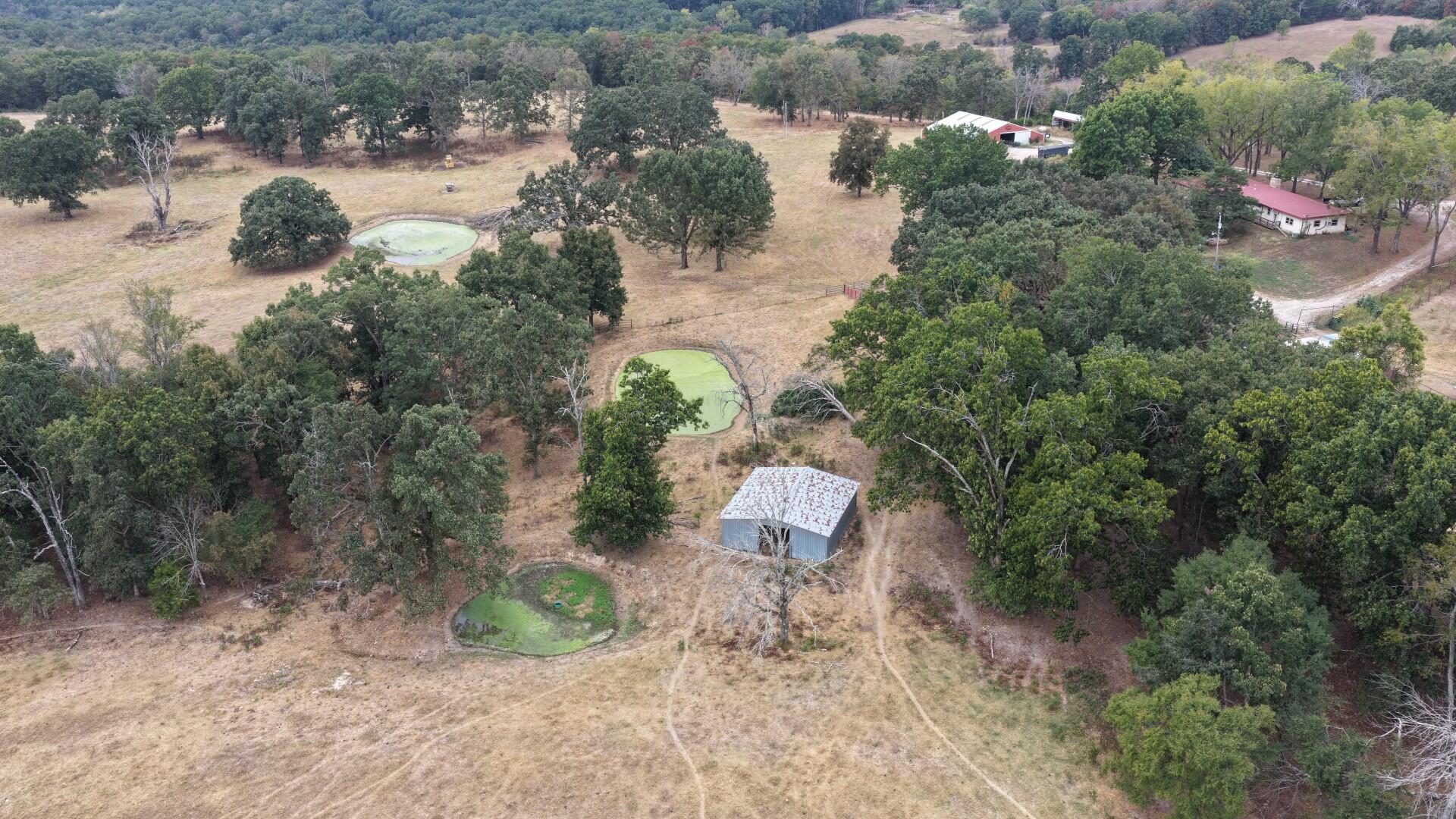 251 County Road 323 Property Photo 46