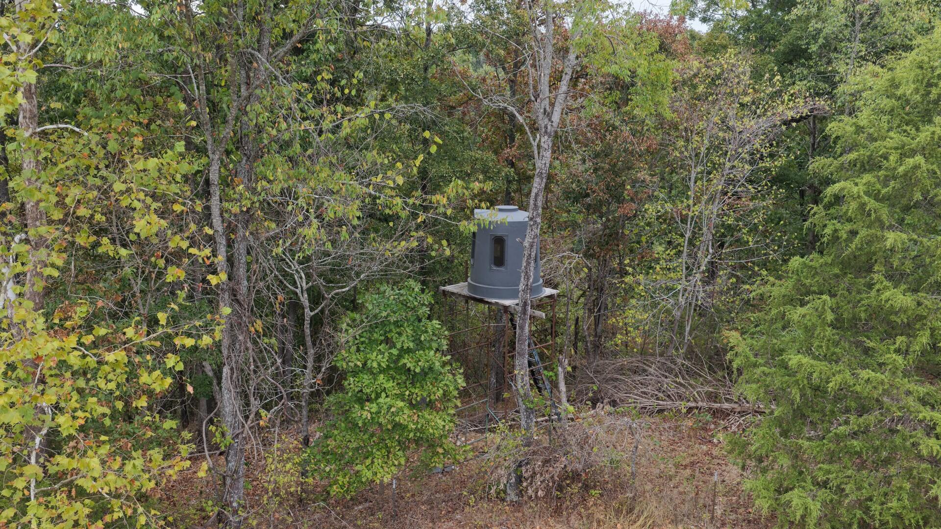 251 County Road 323 Property Photo 47