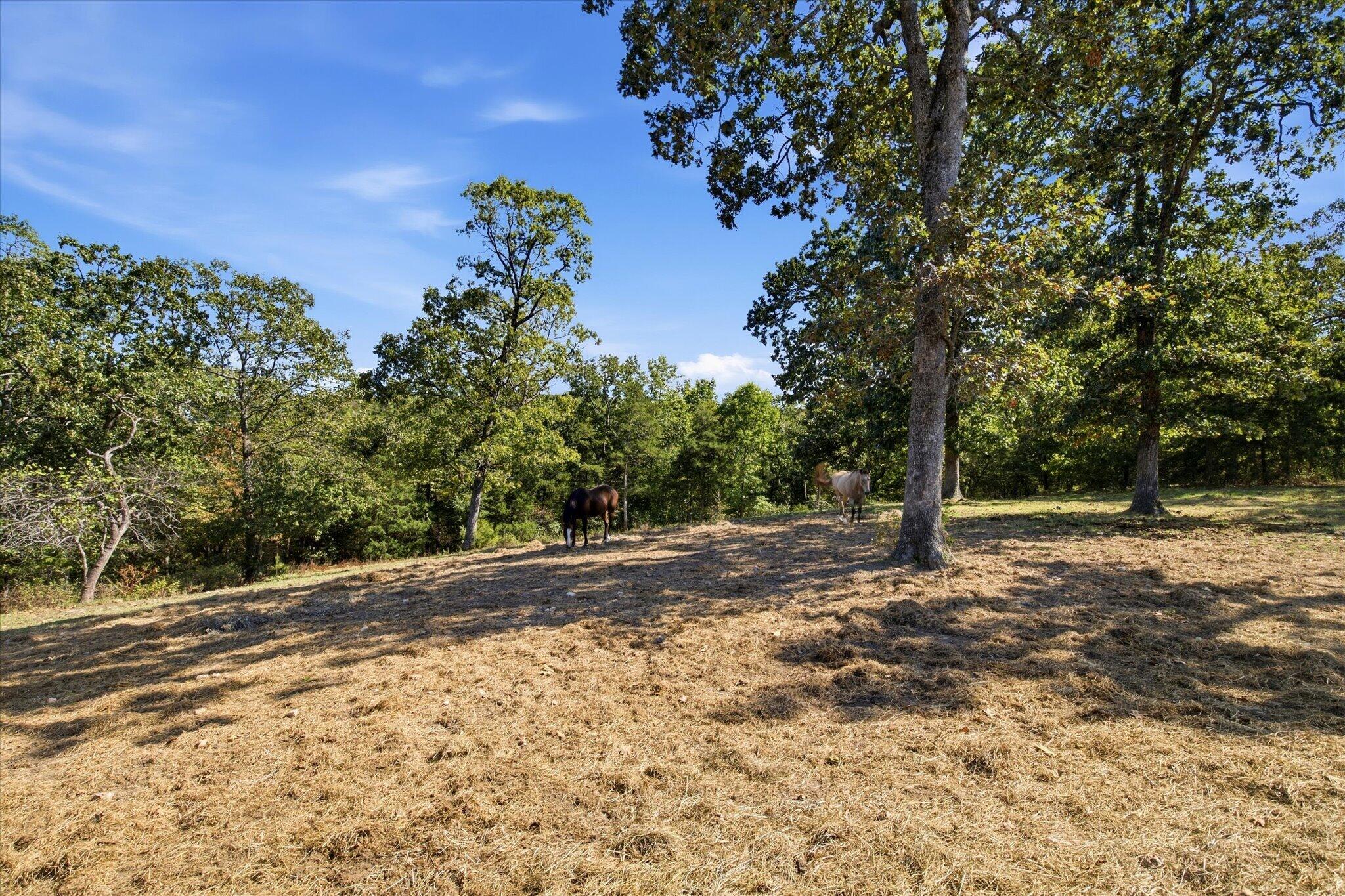 136 Arabian Way Property Photo 67