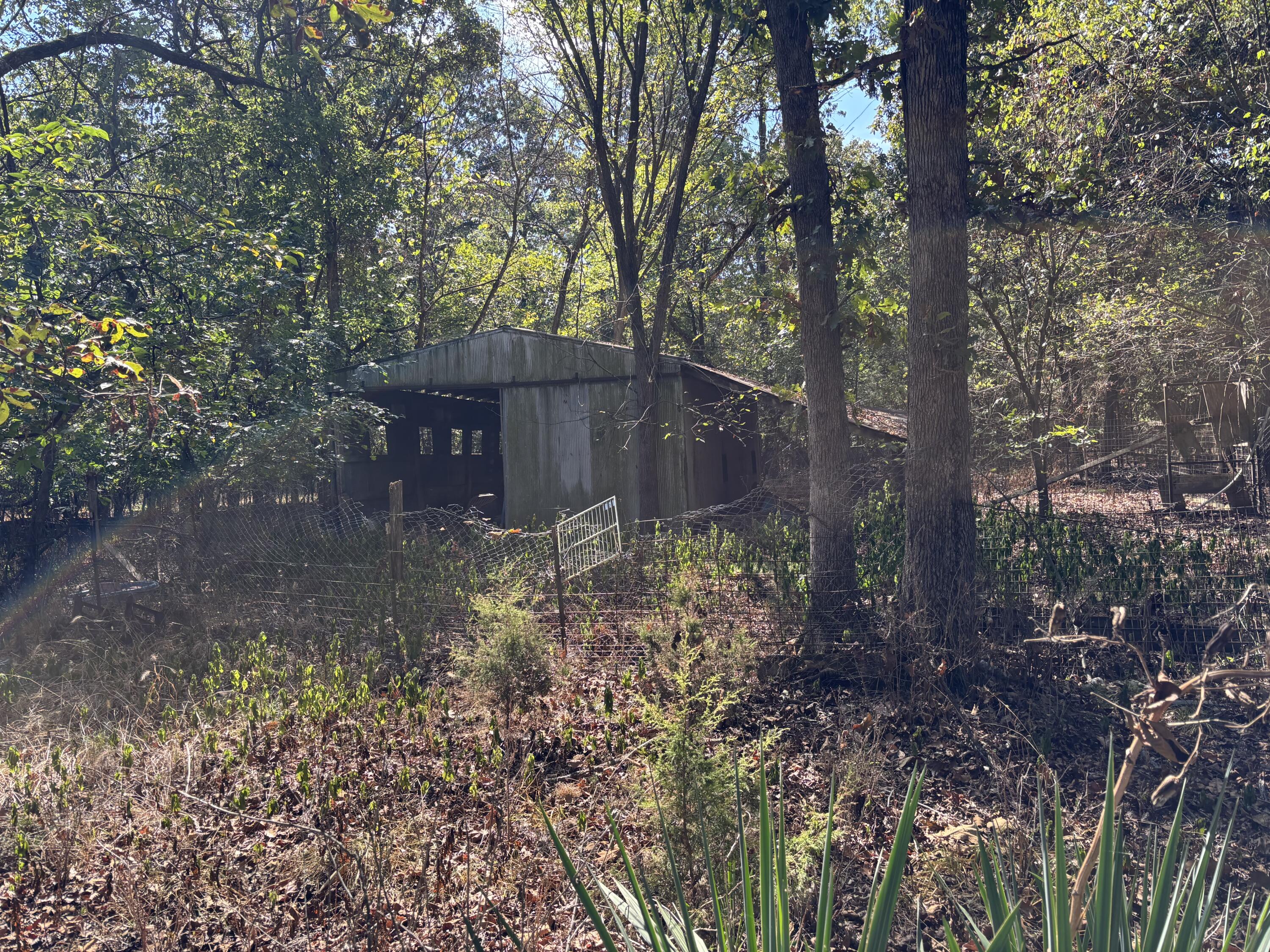 31 Bison Road Property Photo 16