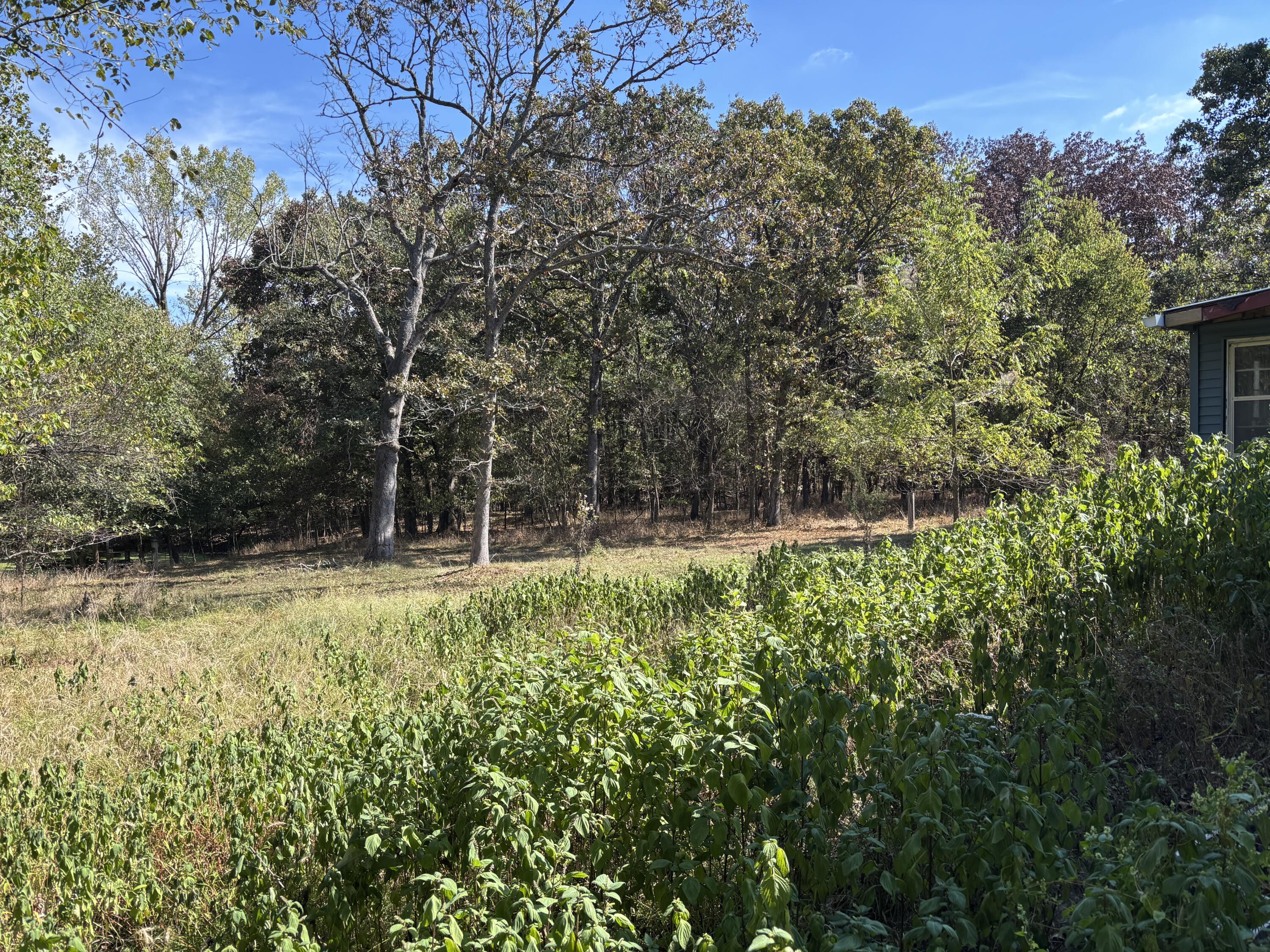31 Bison Road Property Photo 17