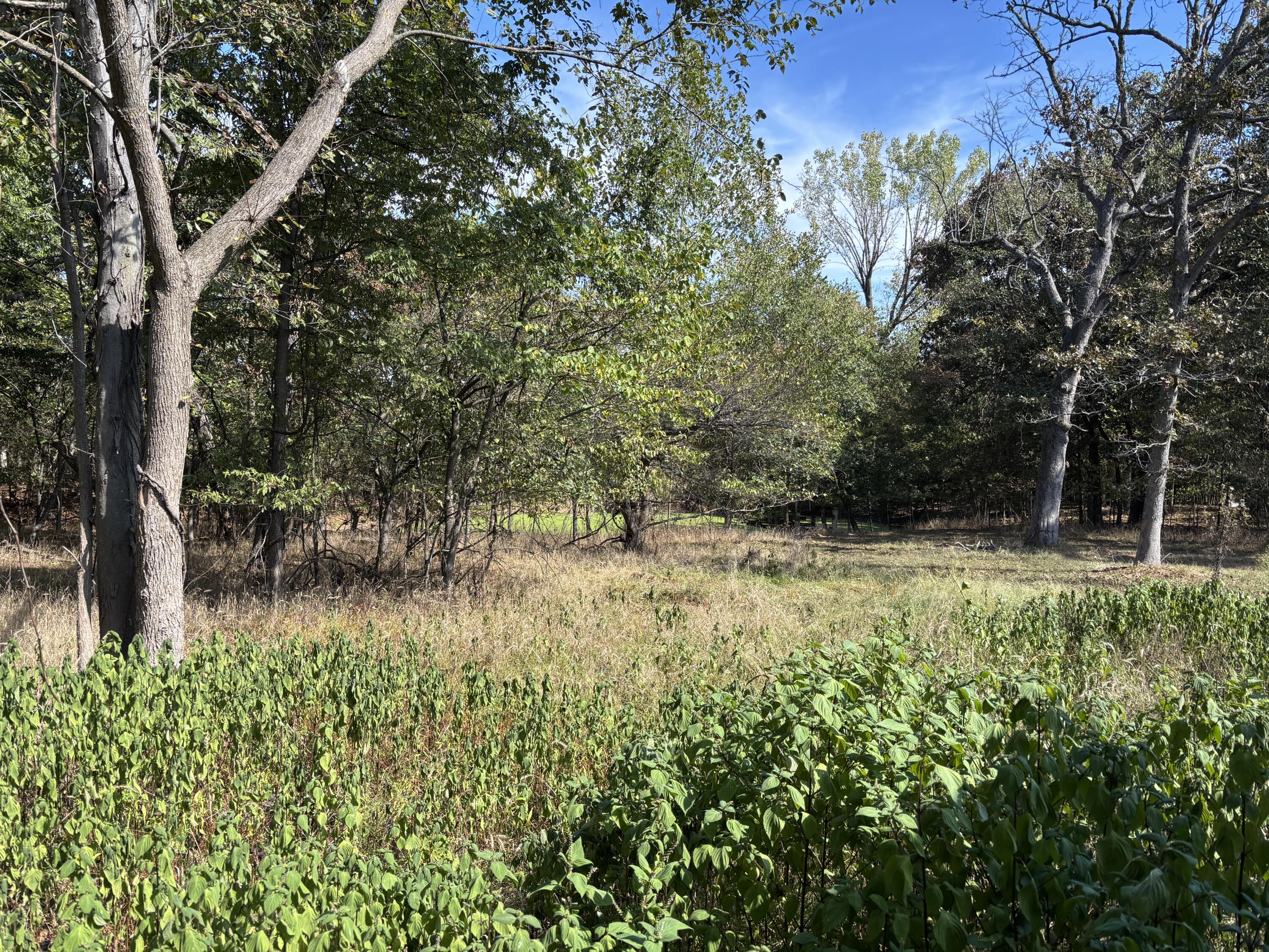 31 Bison Road Property Photo 18