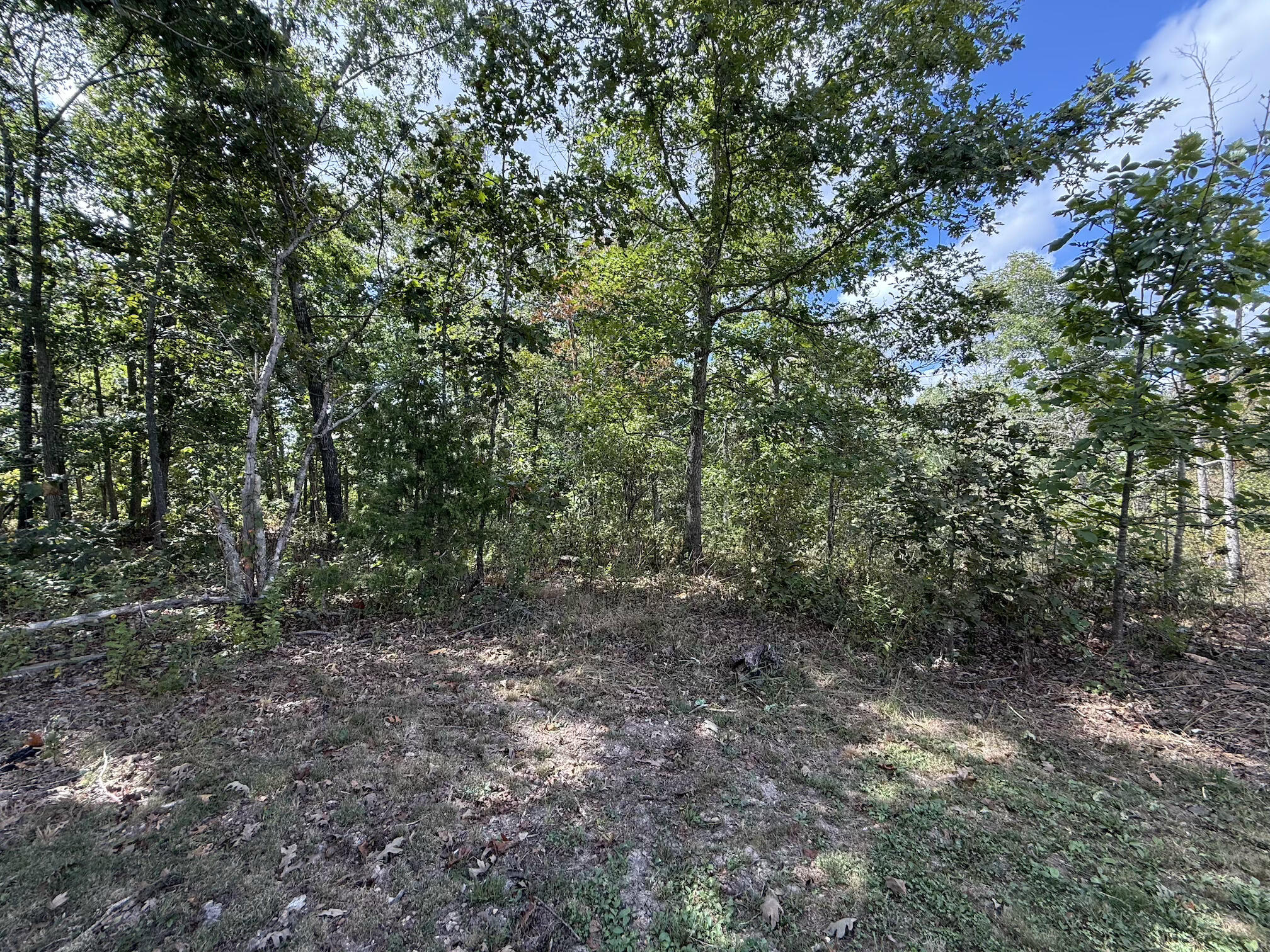 12334 Cr 258 # 258 Property Photo 8