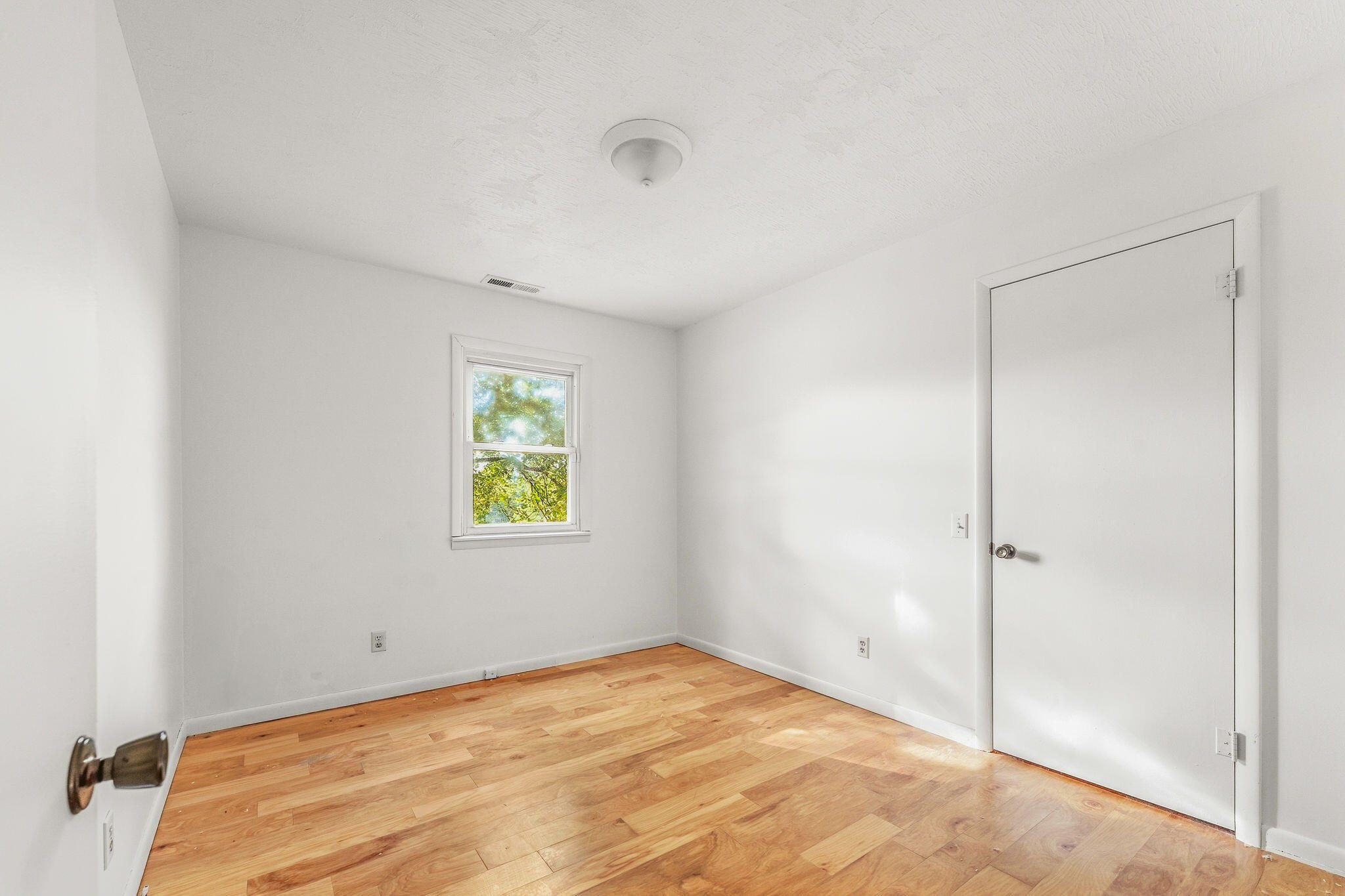 339 Banning Street Property Photo 16
