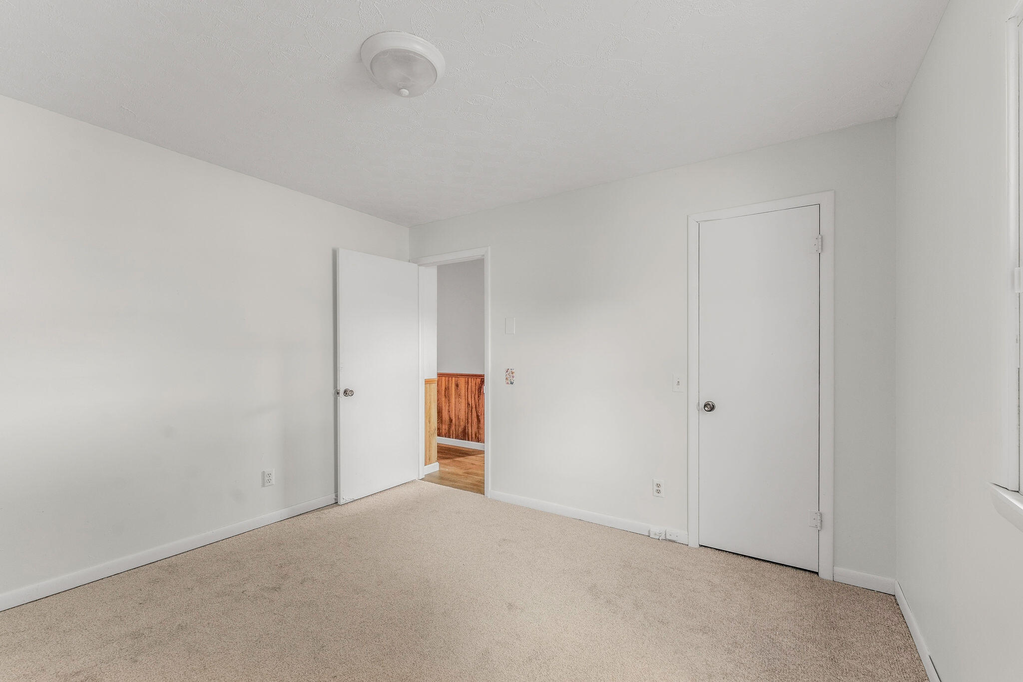 339 Banning Street Property Photo 21