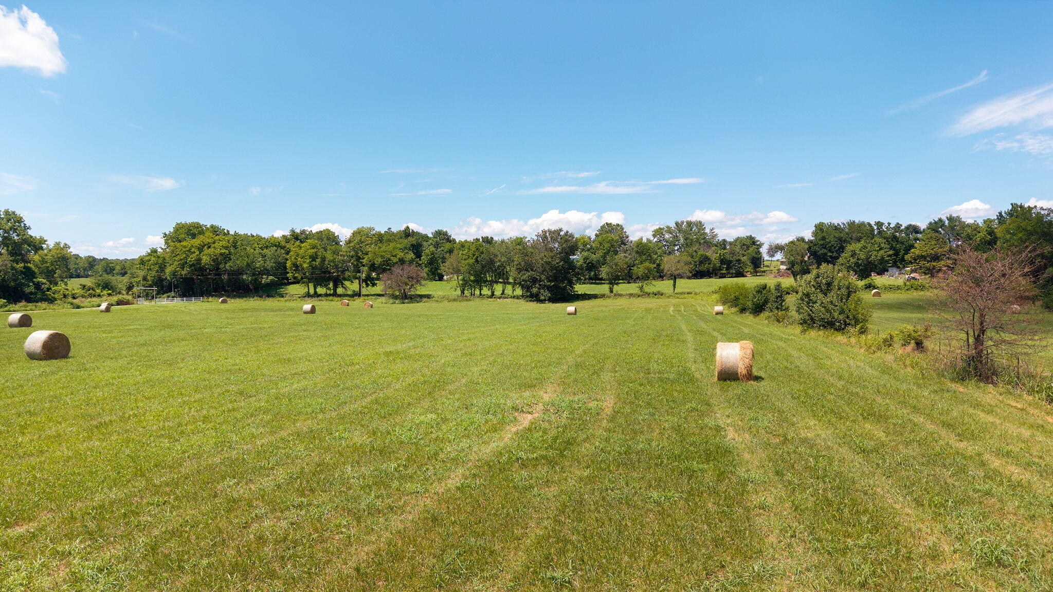 7720 West Farm Road 144 Property Photo 69