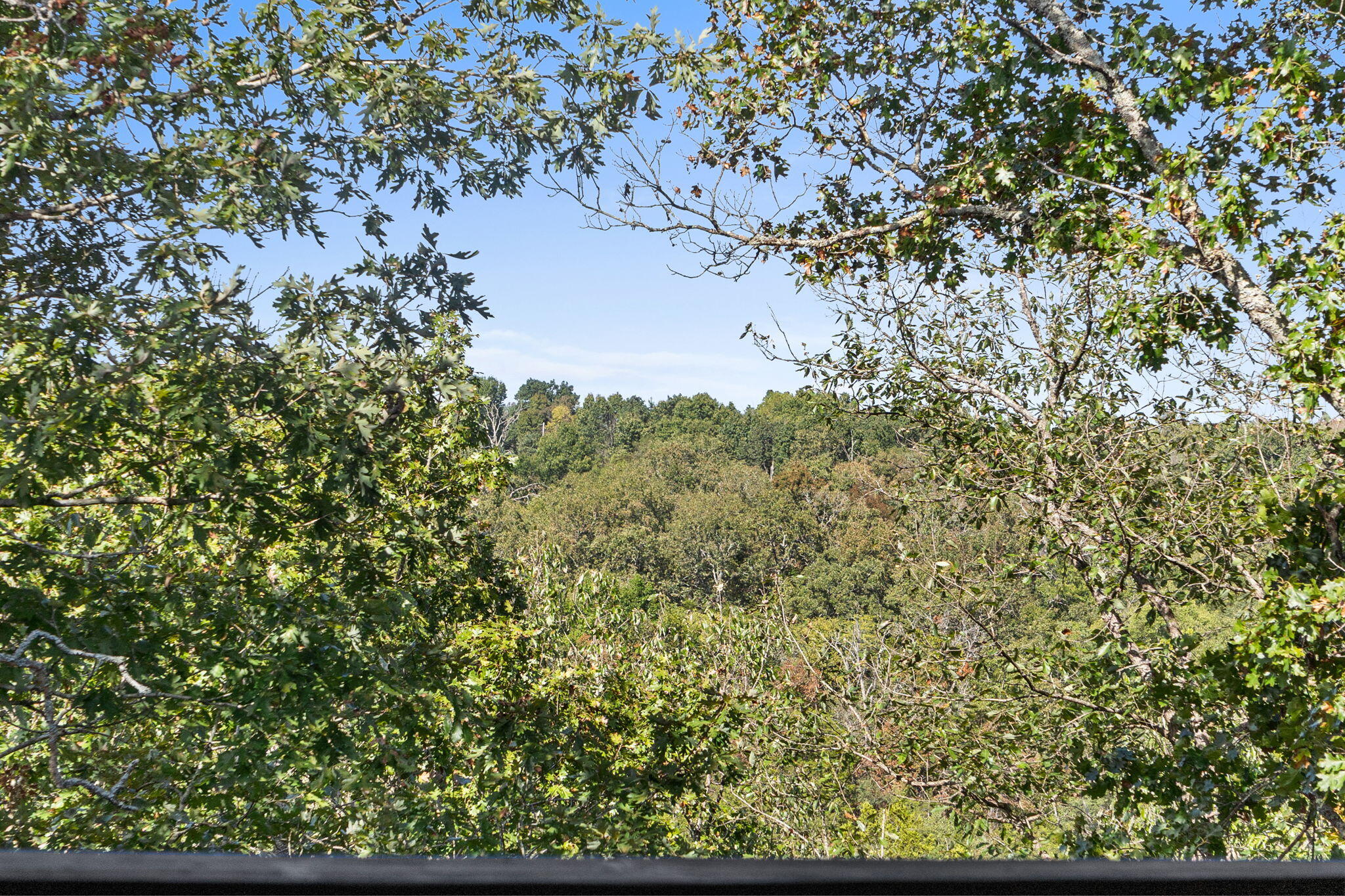 842 Silver Cliff Way Property Photo 39