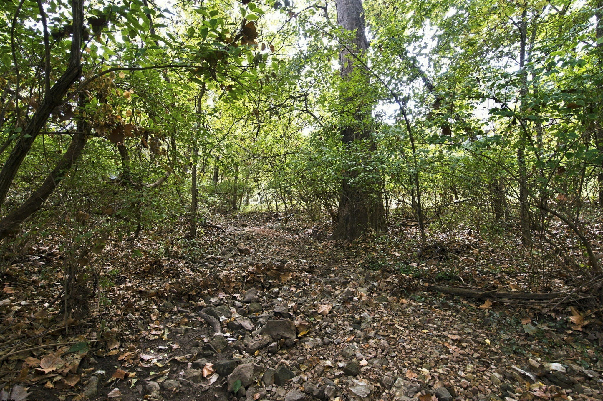2328 South Wind Rose Place Property Photo 67