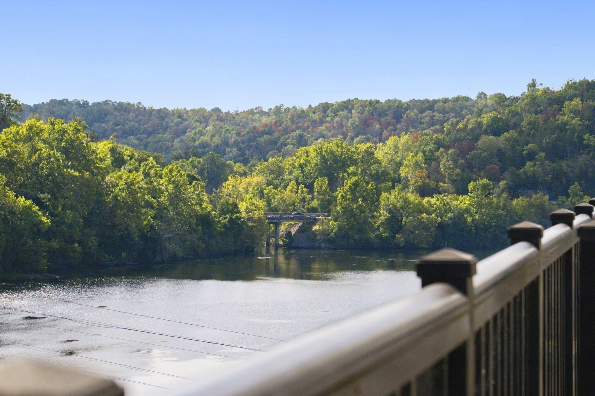 10503 Branson Landing Boulevard 10-503 Property Photo 10