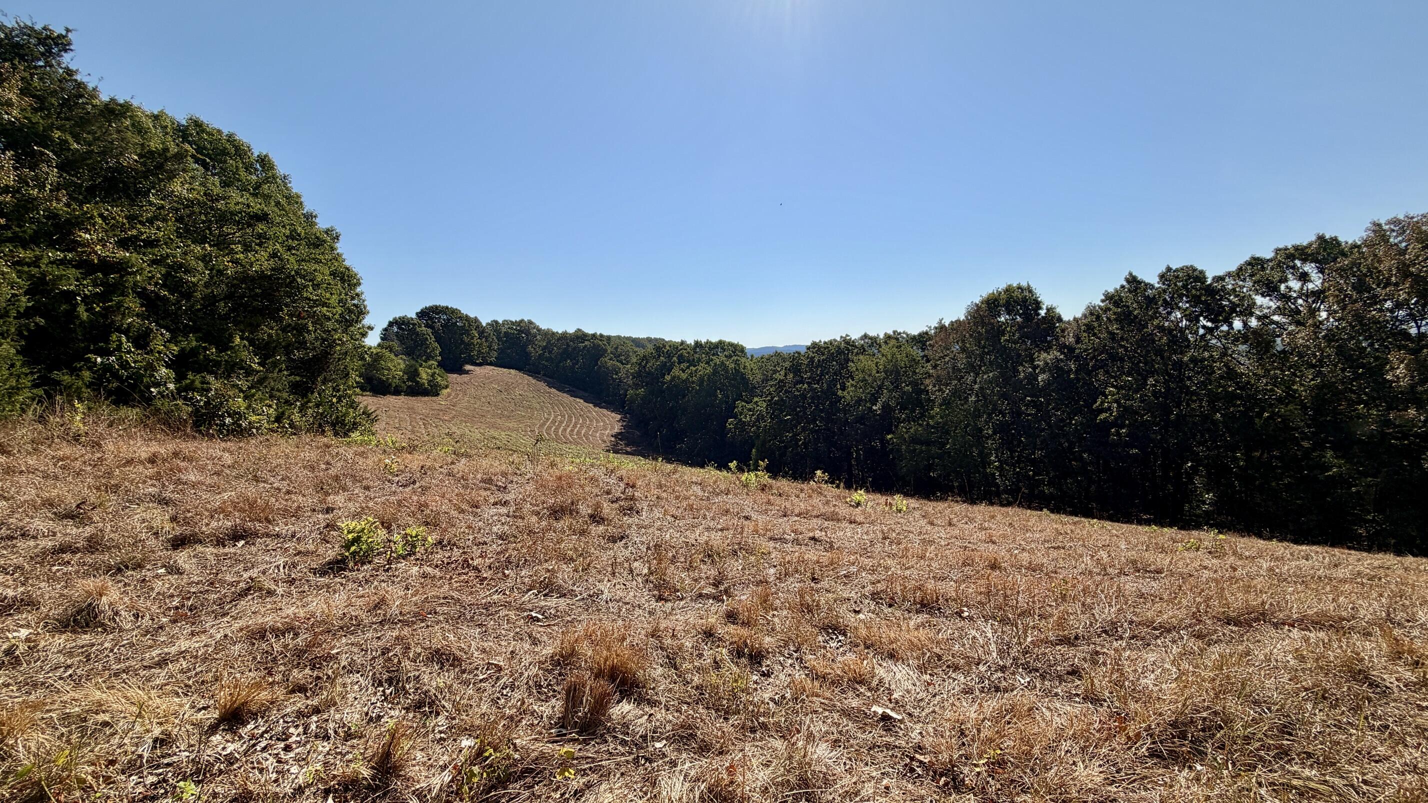 9479 State Highway 176 Property Photo 1