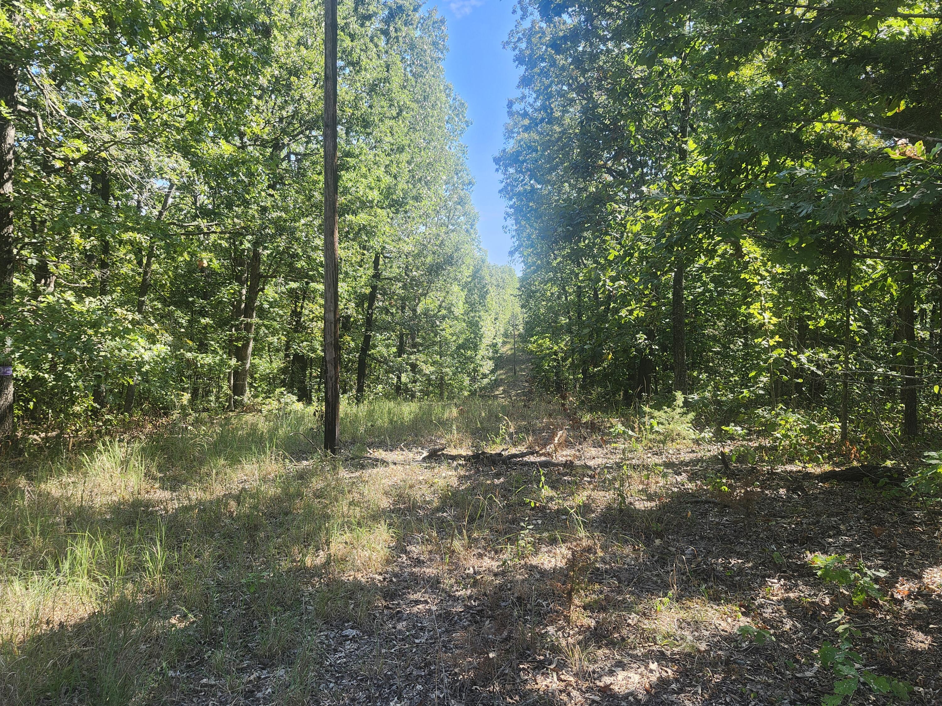13239 County Road 290 Property Photo 7