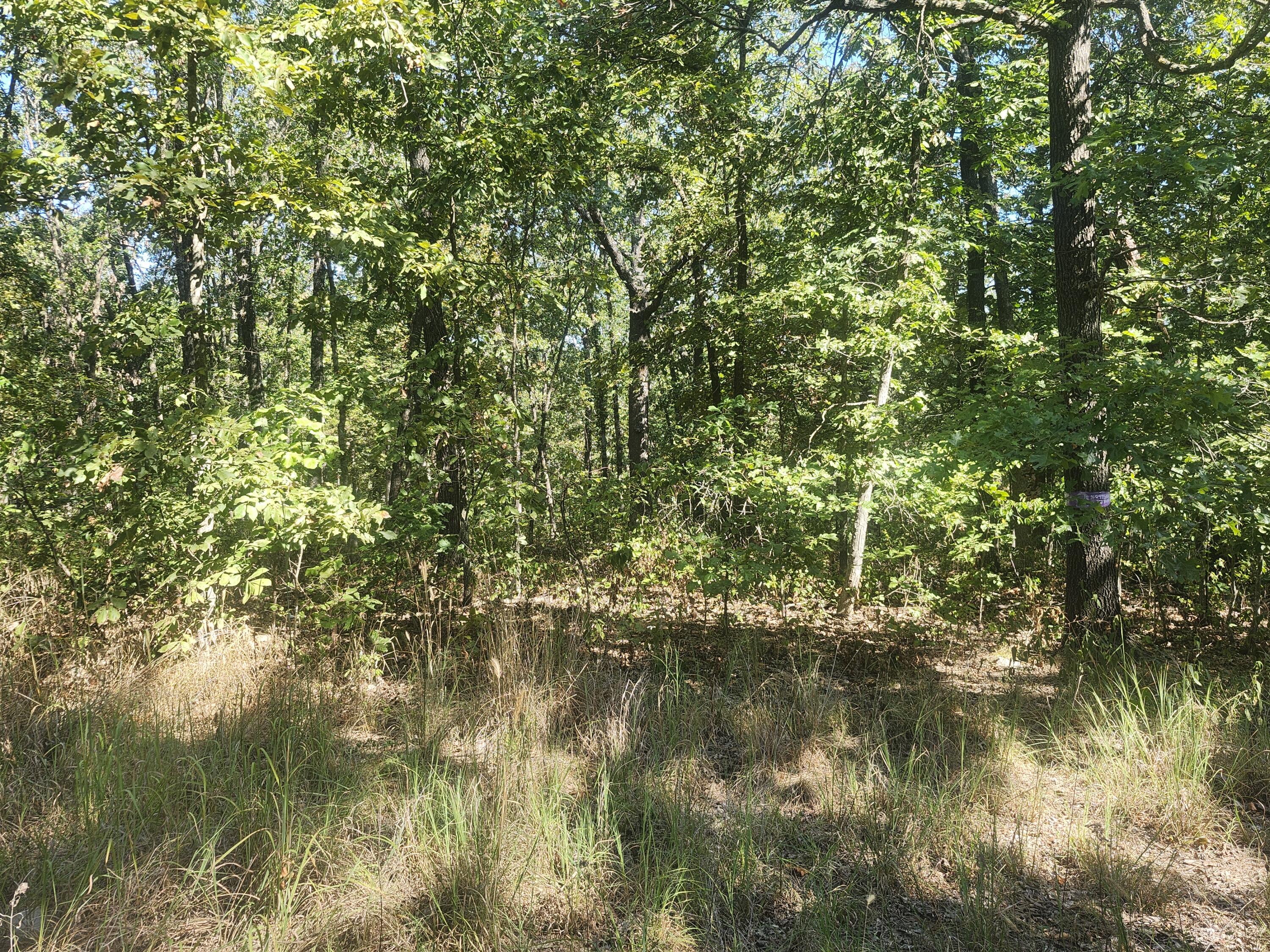 13239 County Road 290 Property Photo 8