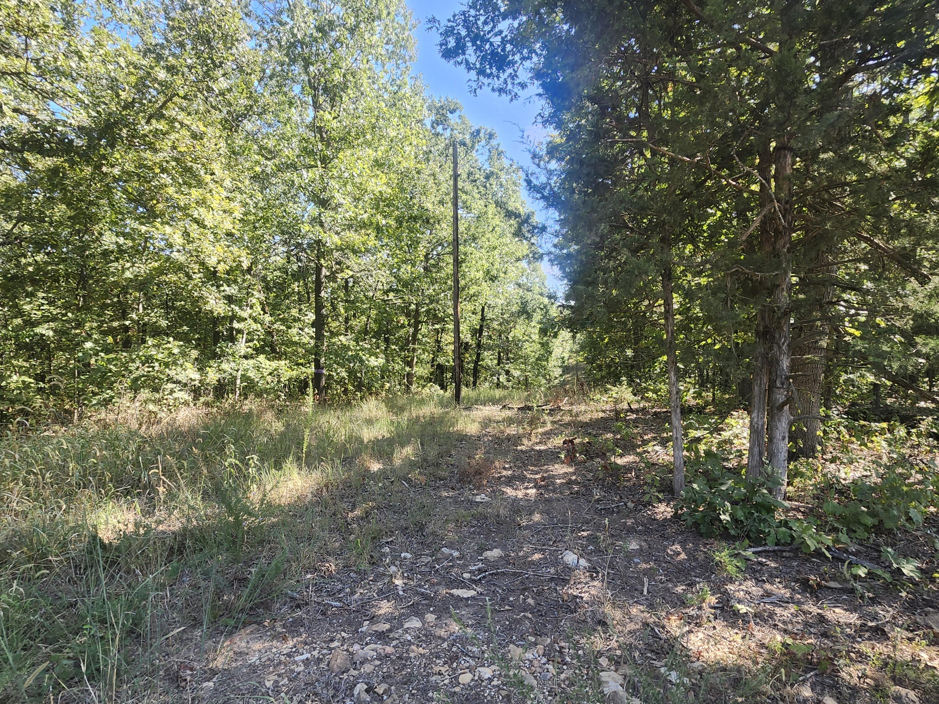13239 County Road 290 Property Photo 9
