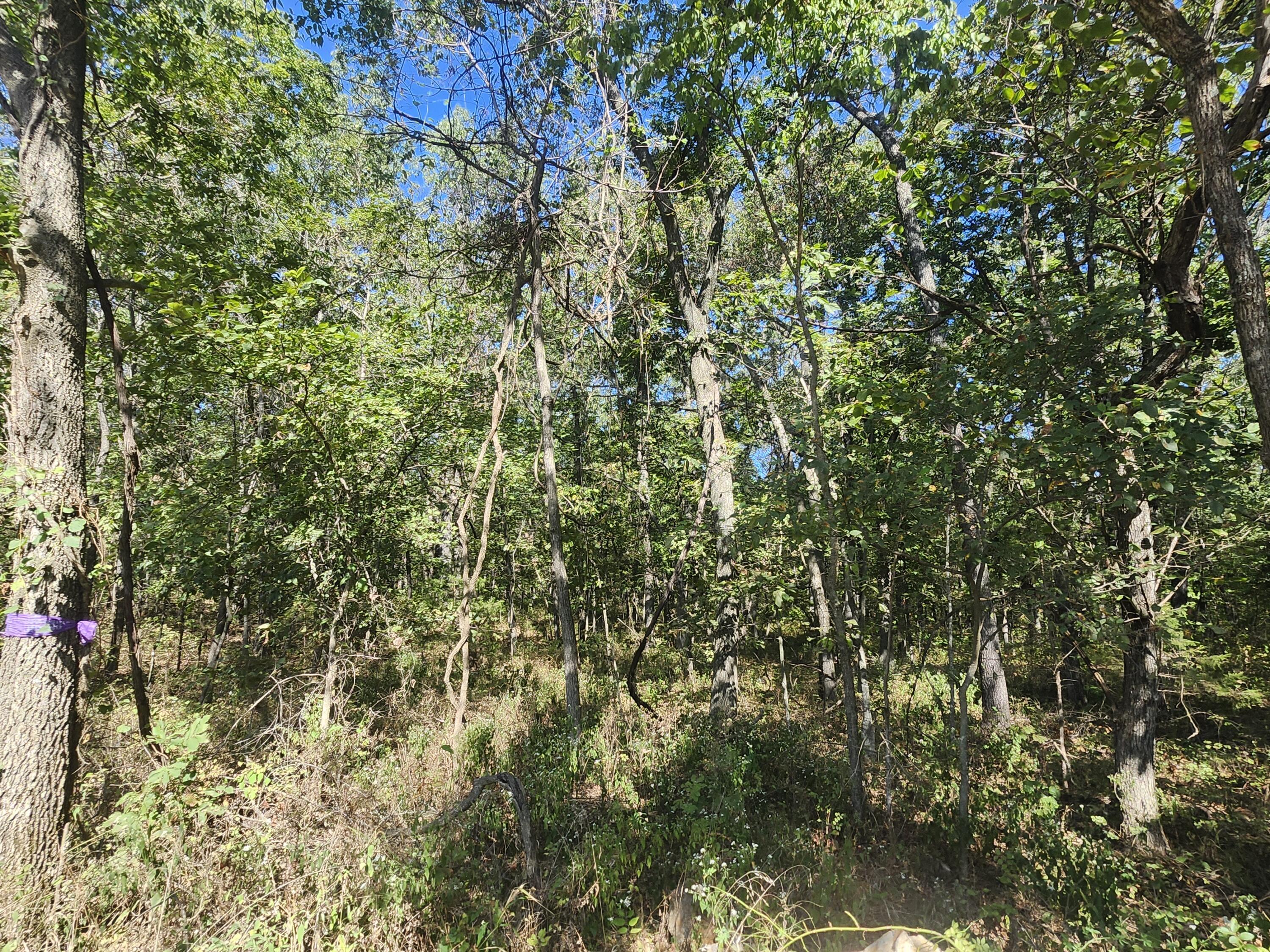 13239 County Road 290 Property Photo 12