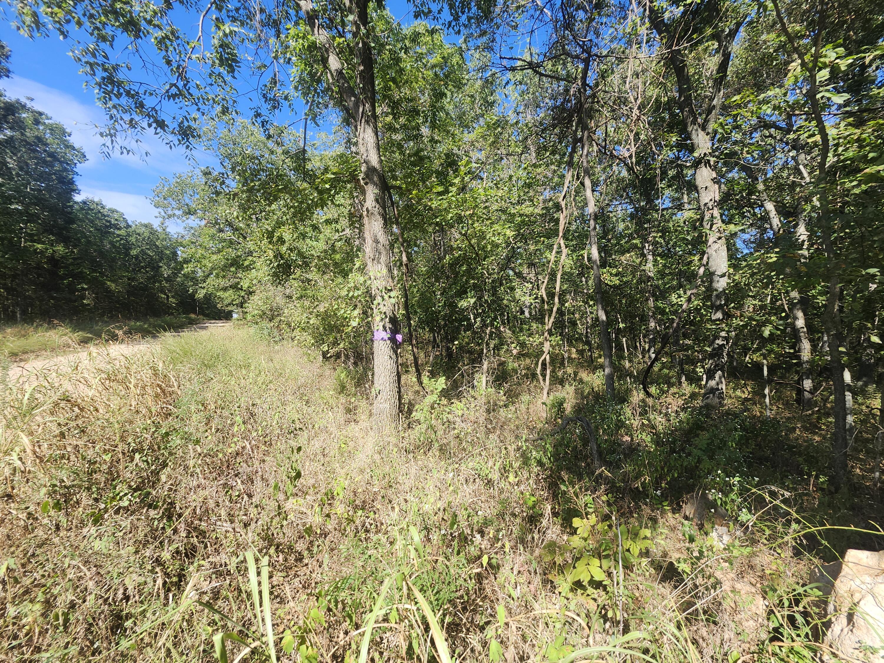 13239 County Road 290 Property Photo 13