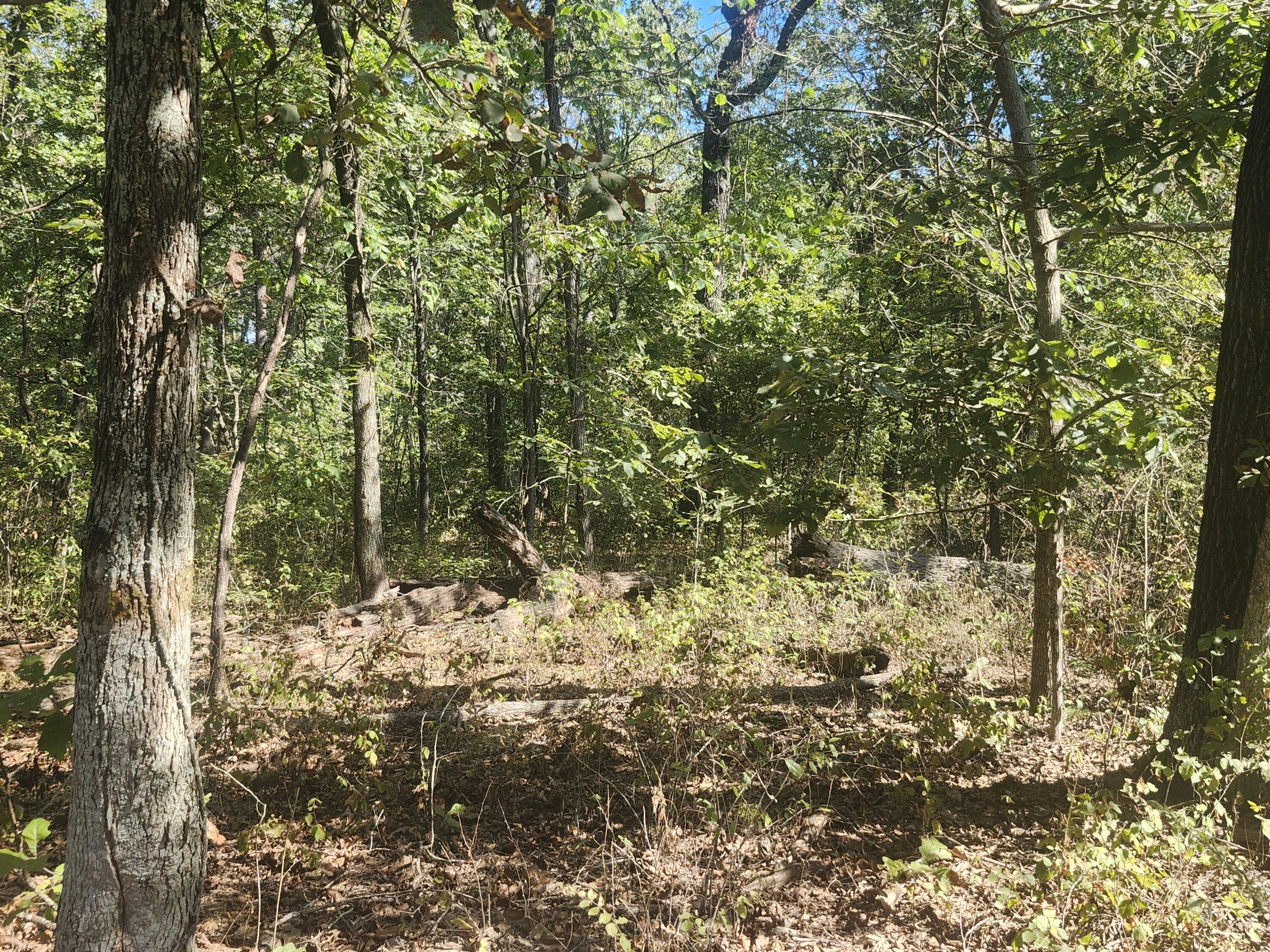 13239 County Road 290 Property Photo 14