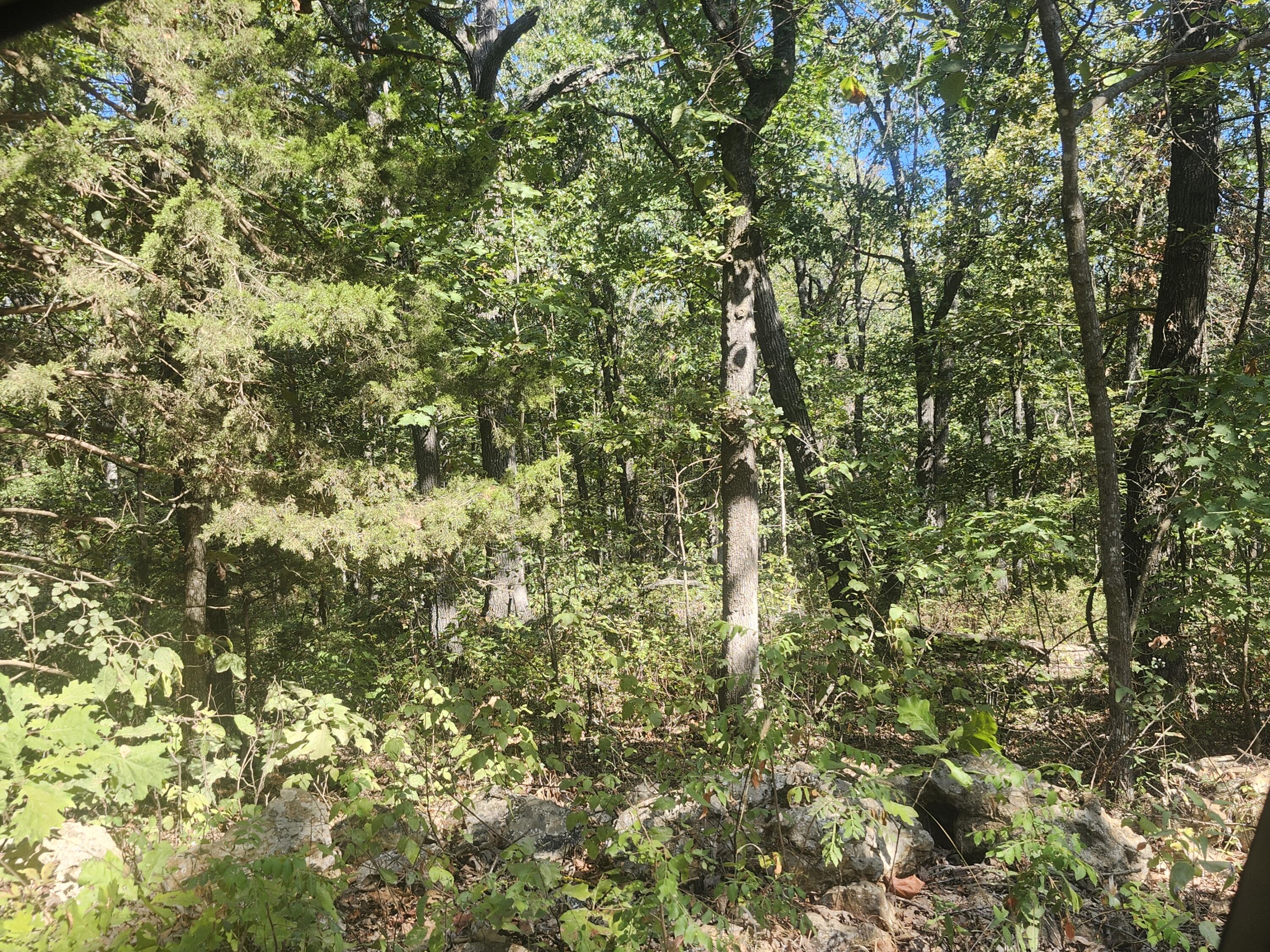 13239 County Road 290 Property Photo 16