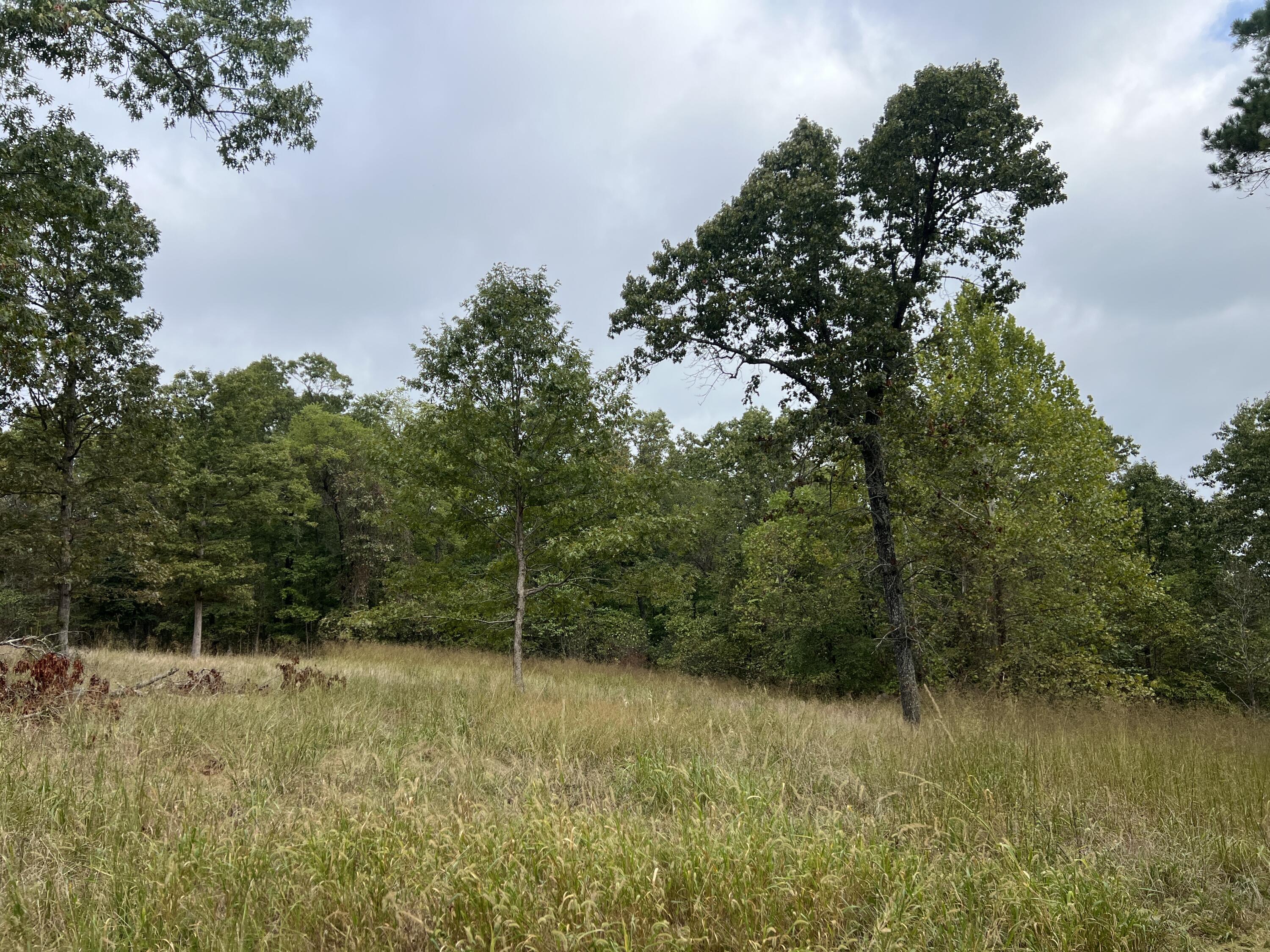 838 Alpha Drive Property Photo 11