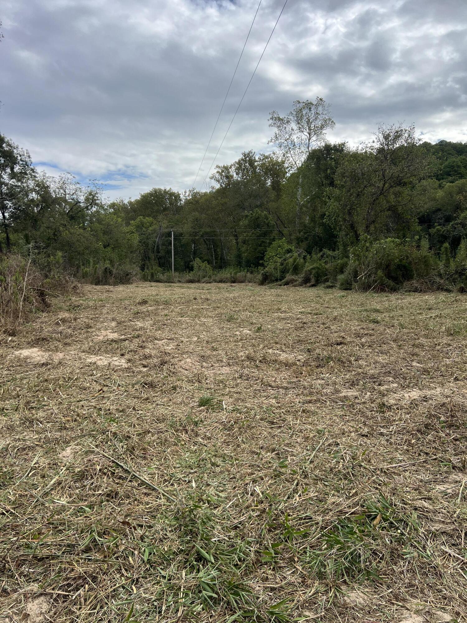 838 Alpha Drive Property Photo 32
