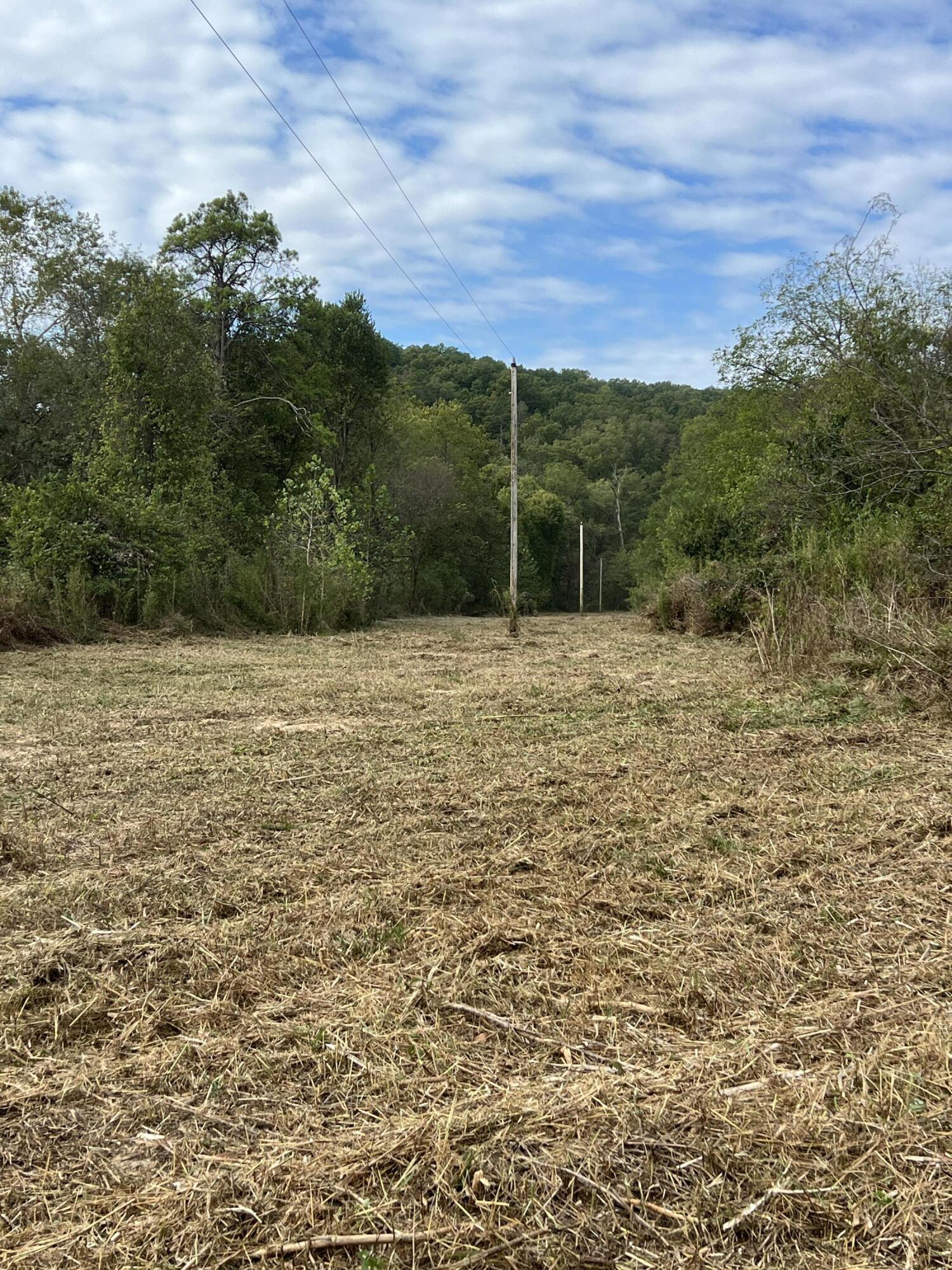 838 Alpha Drive Property Photo 33
