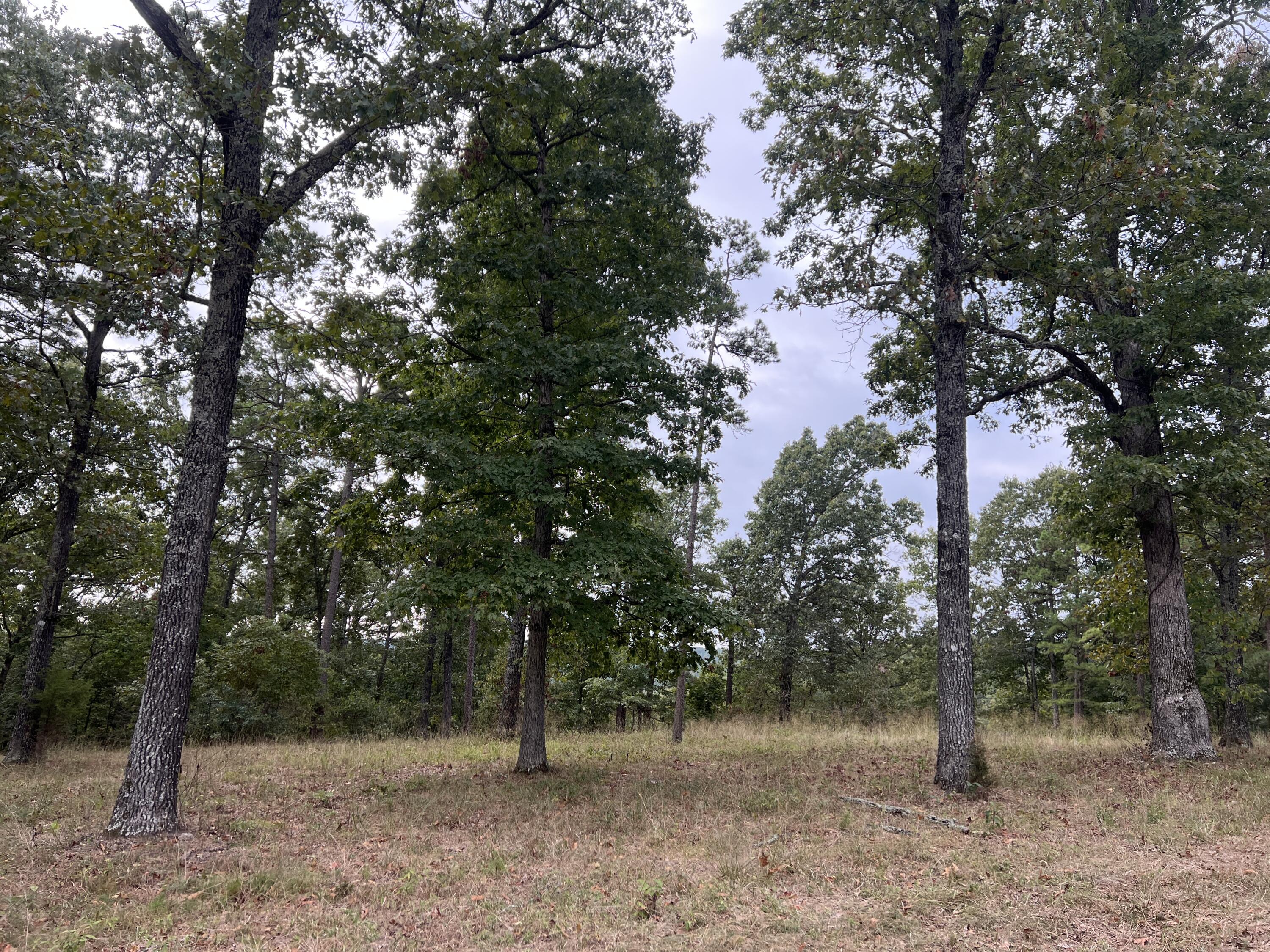 838 Alpha Drive Property Photo 35
