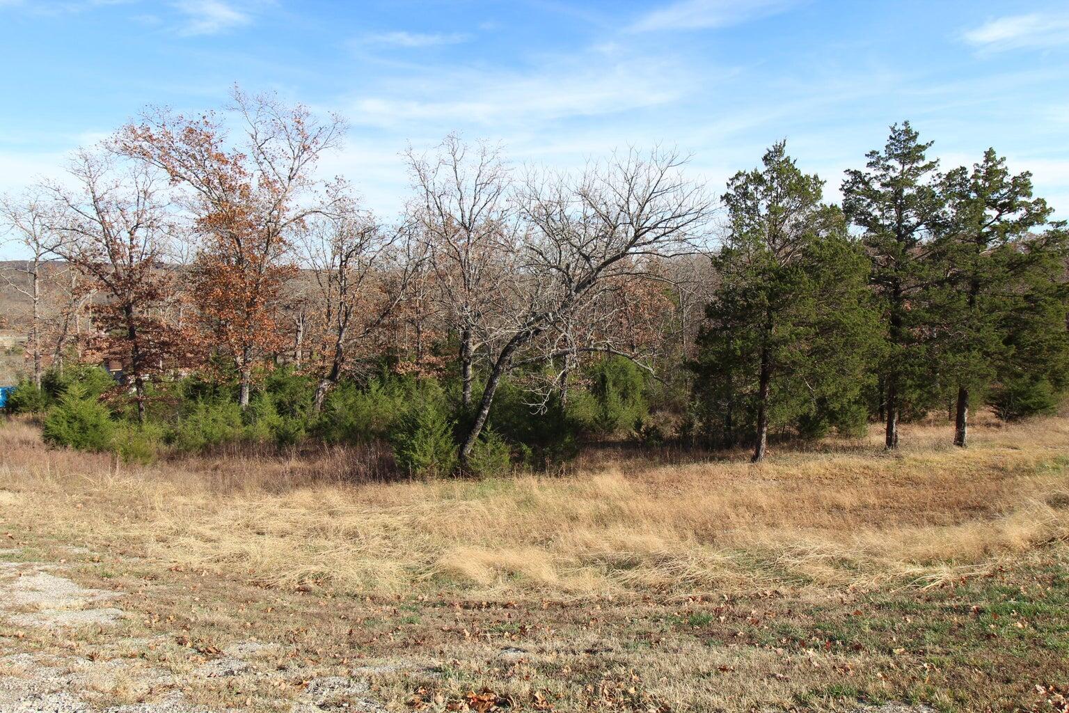 199 Forest Lake Drive Property Photo 3