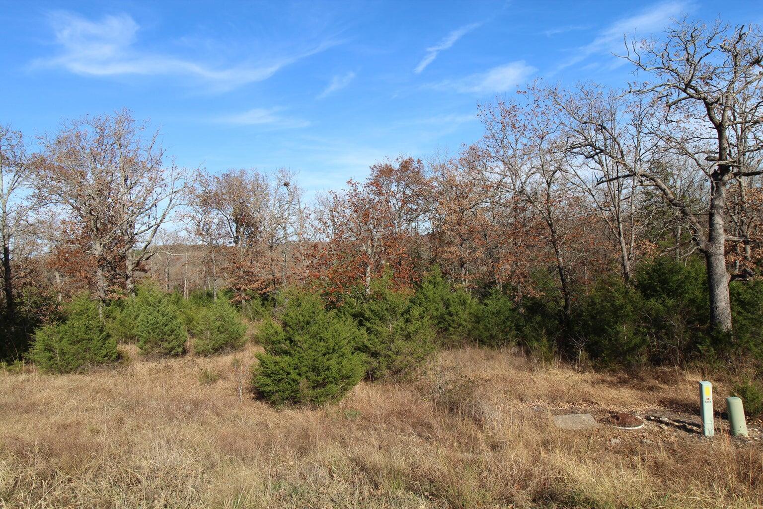 199 Forest Lake Drive Property Photo 4