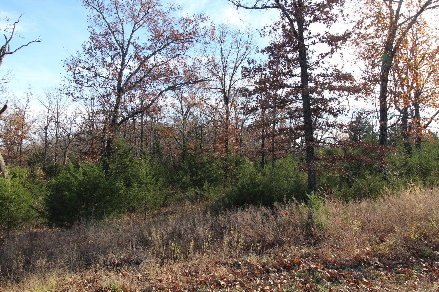 199 Forest Lake Drive Property Photo 6