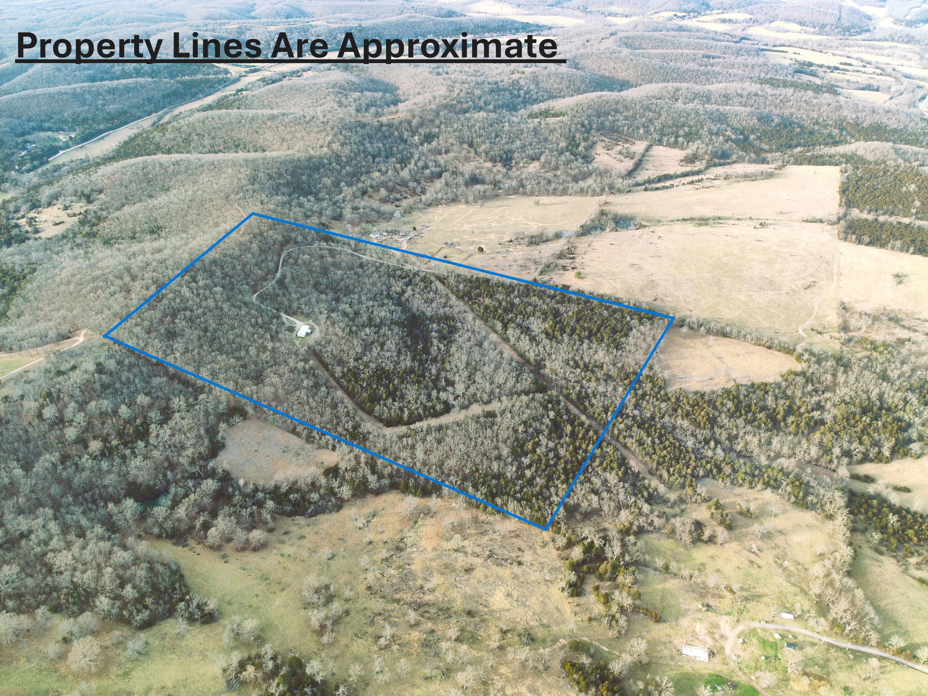 18611 Farm Road 2107 Property Photo 18