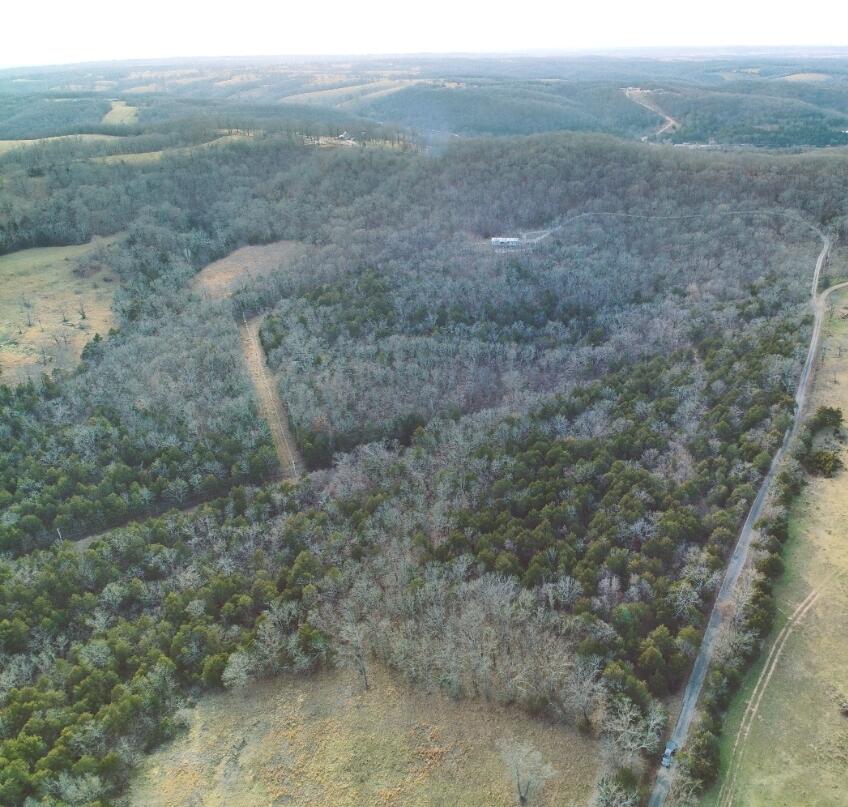18611 Farm Road 2107 Property Photo 22