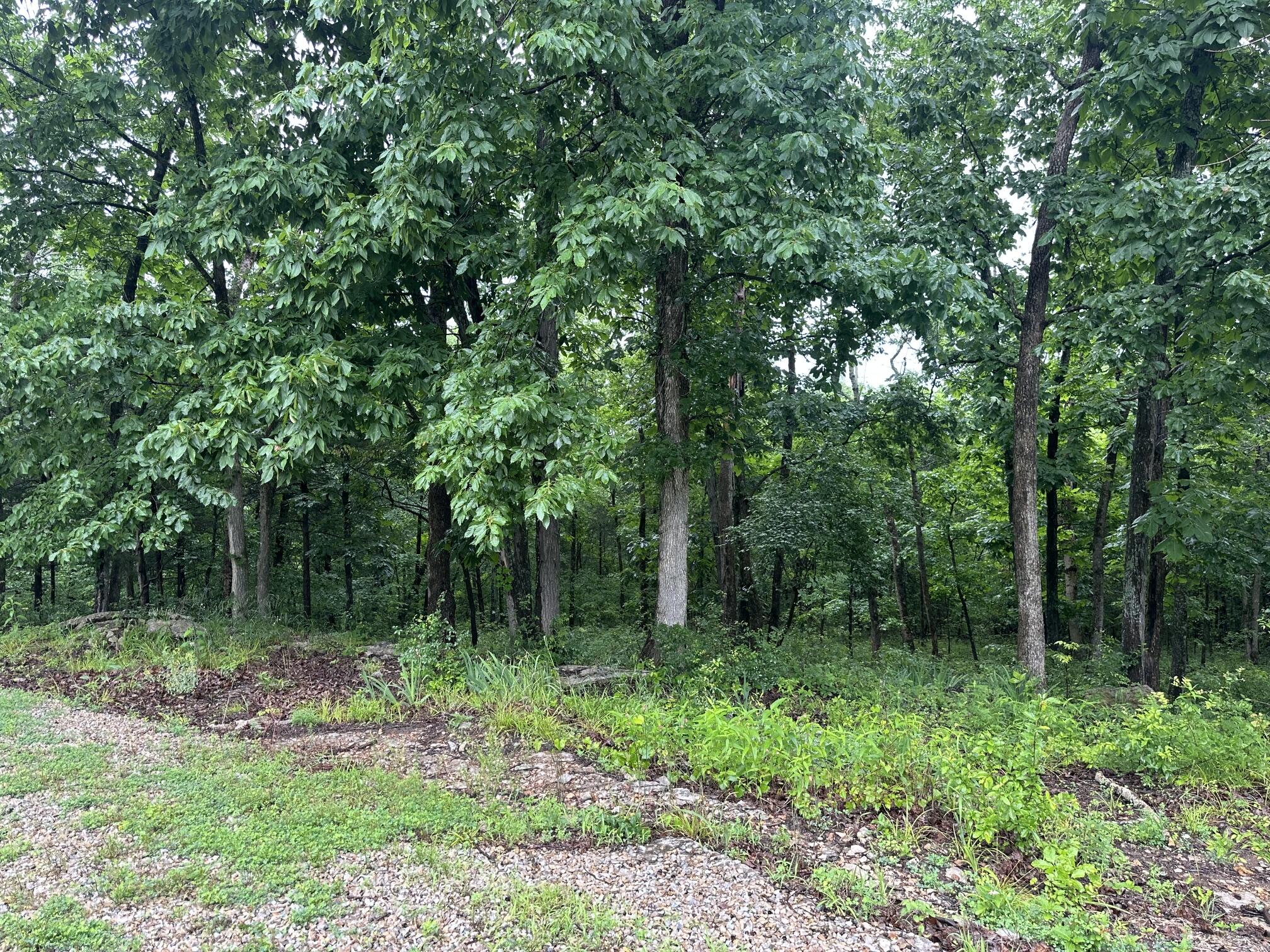 18611 Farm Road 2107 Property Photo 30