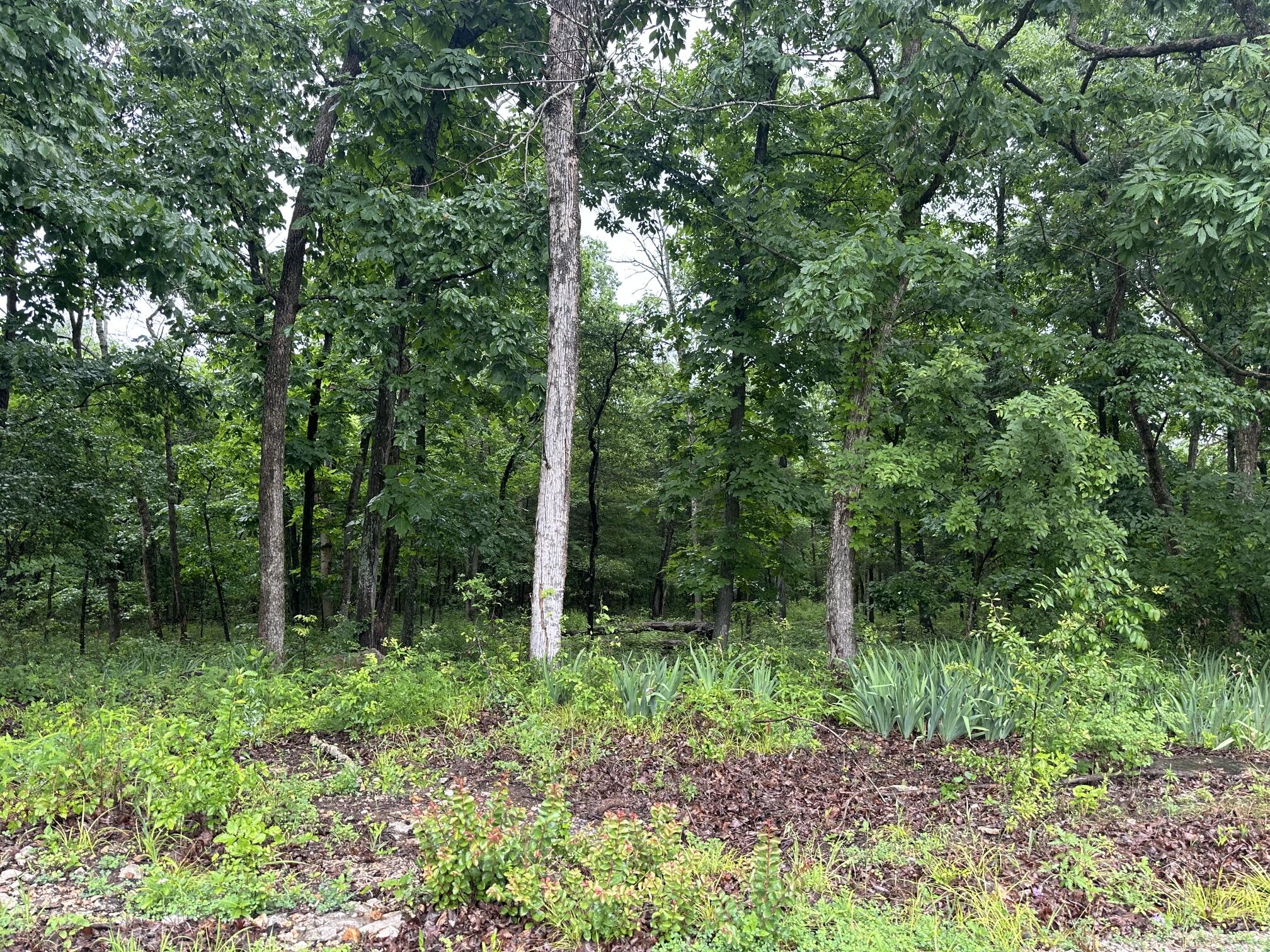 18611 Farm Road 2107 Property Photo 29