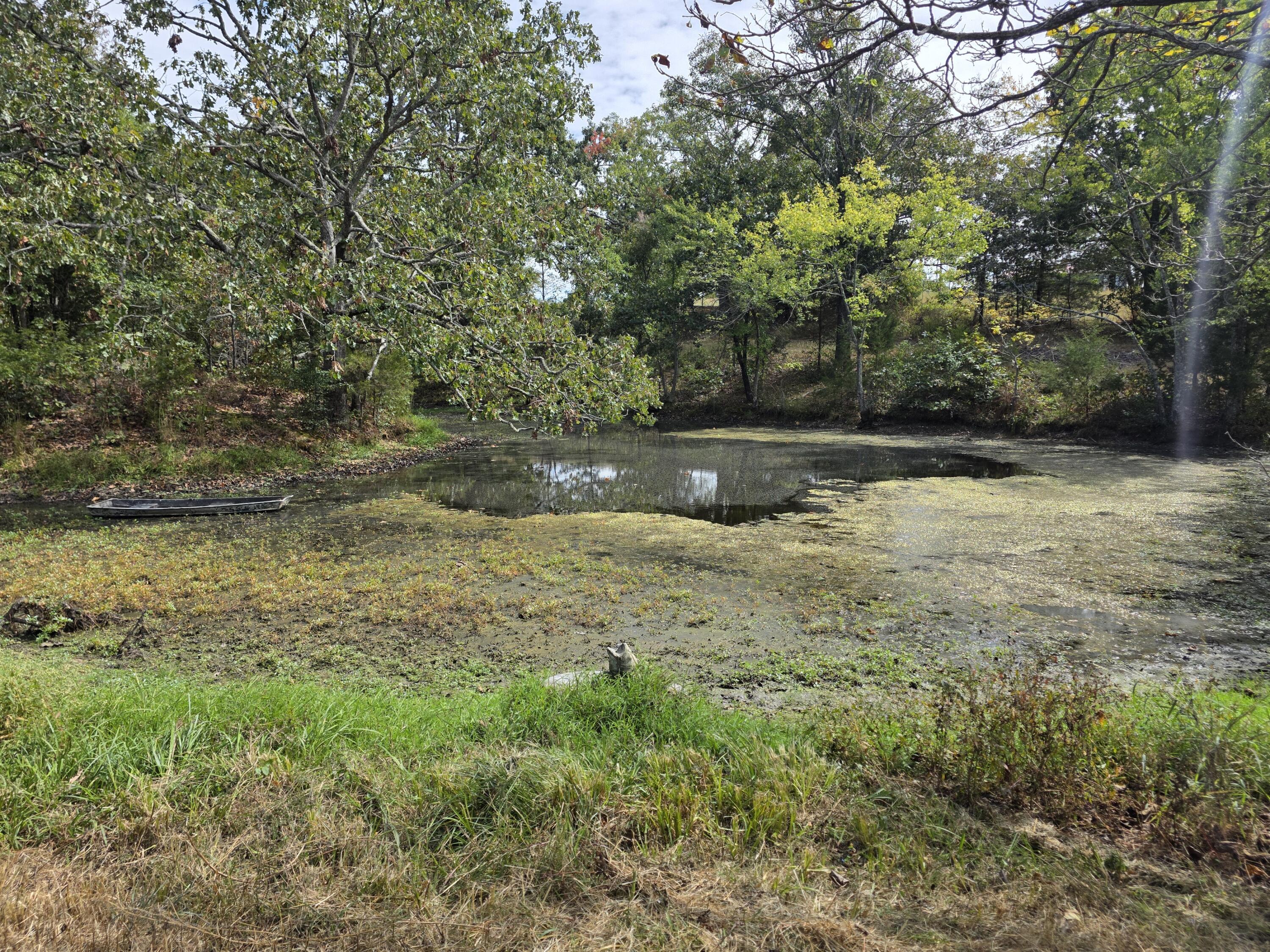 1454 County Road 1210 Property Photo 3