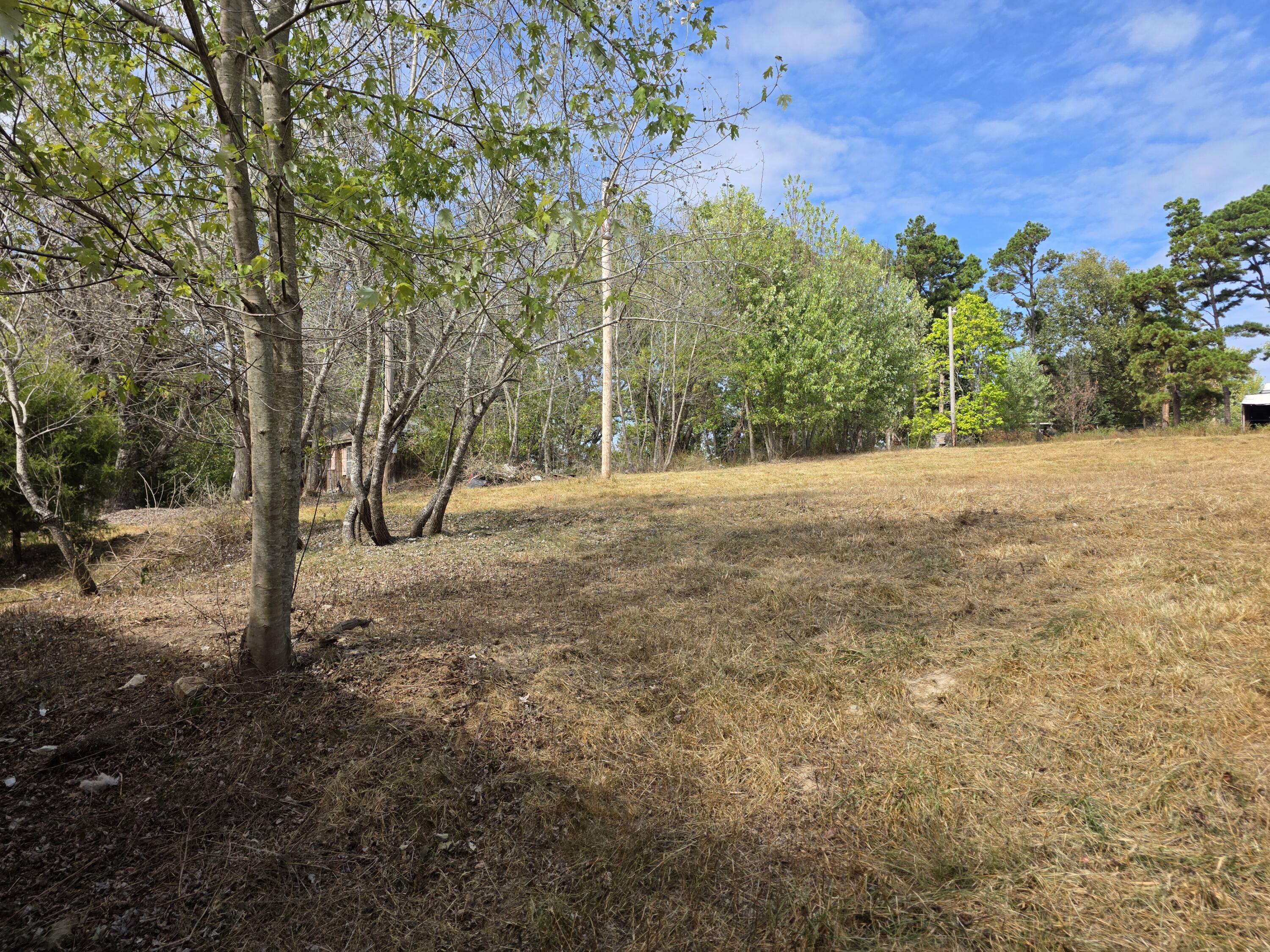 1454 County Road 1210 Property Photo 6