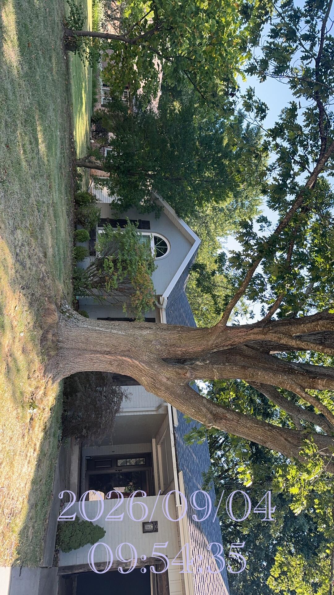 5670 South Jefferson Avenue Property Photo 9