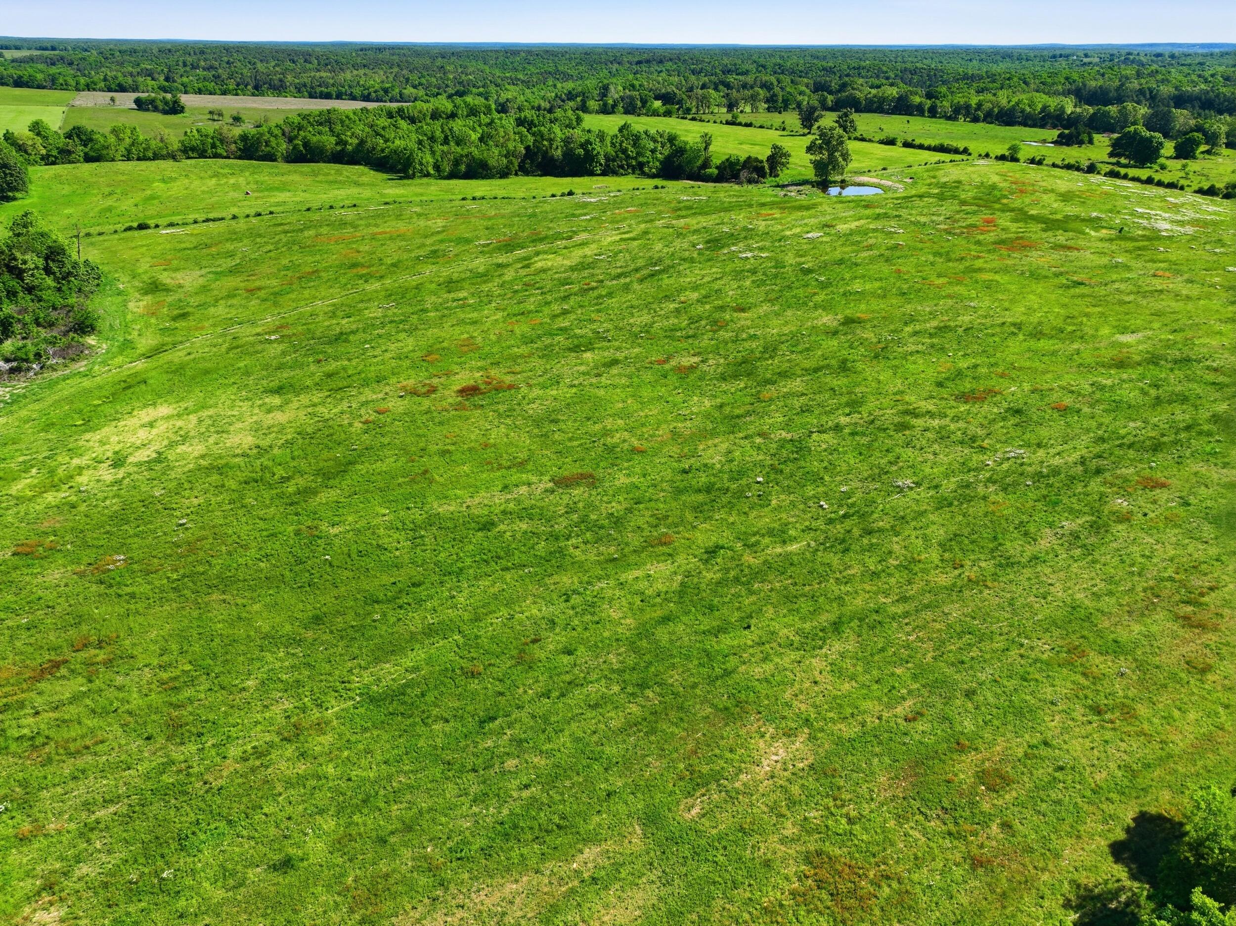 9290 Burton Branch Road Property Photo 1