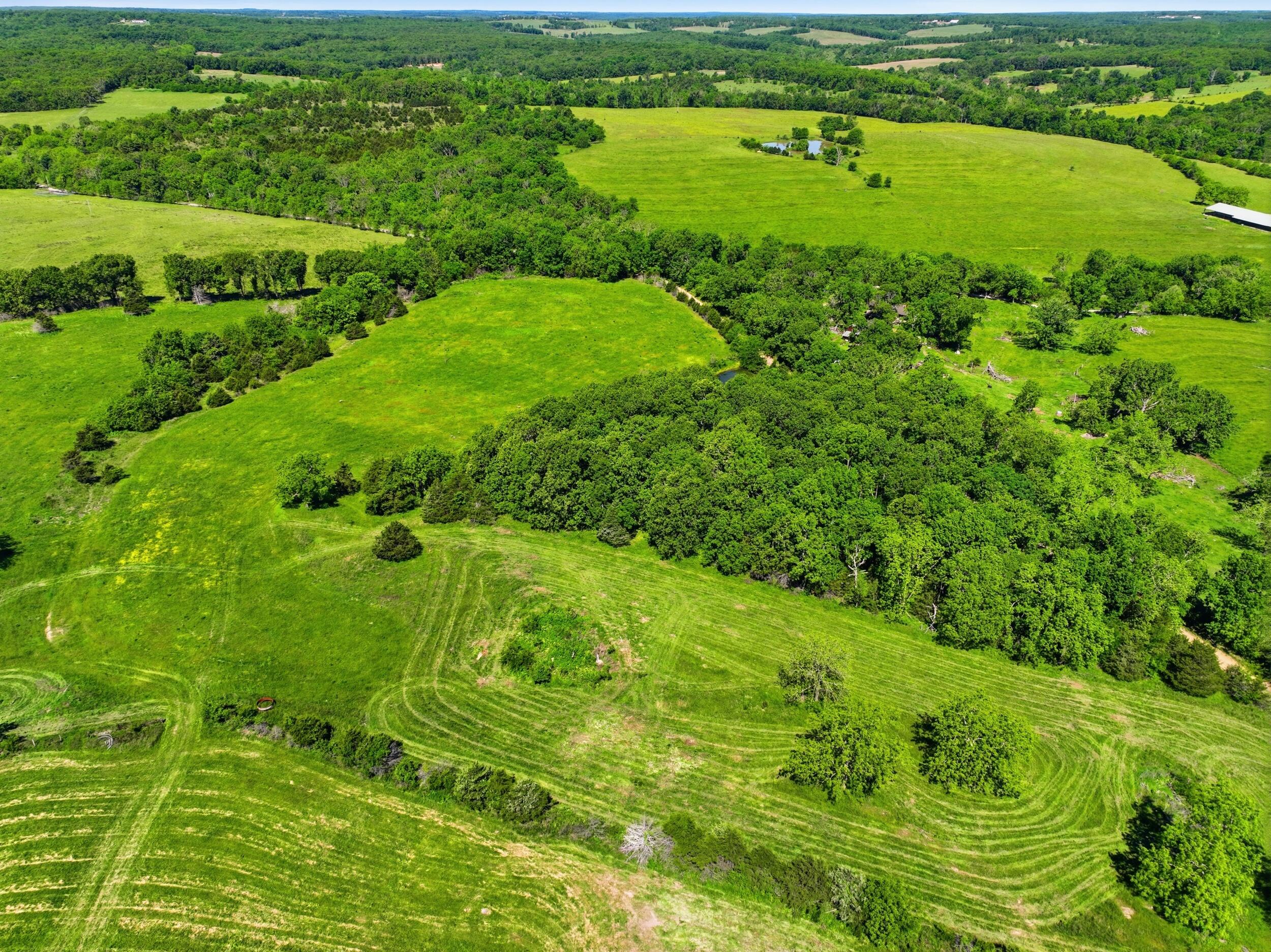 9290 Burton Branch Road Property Photo 15