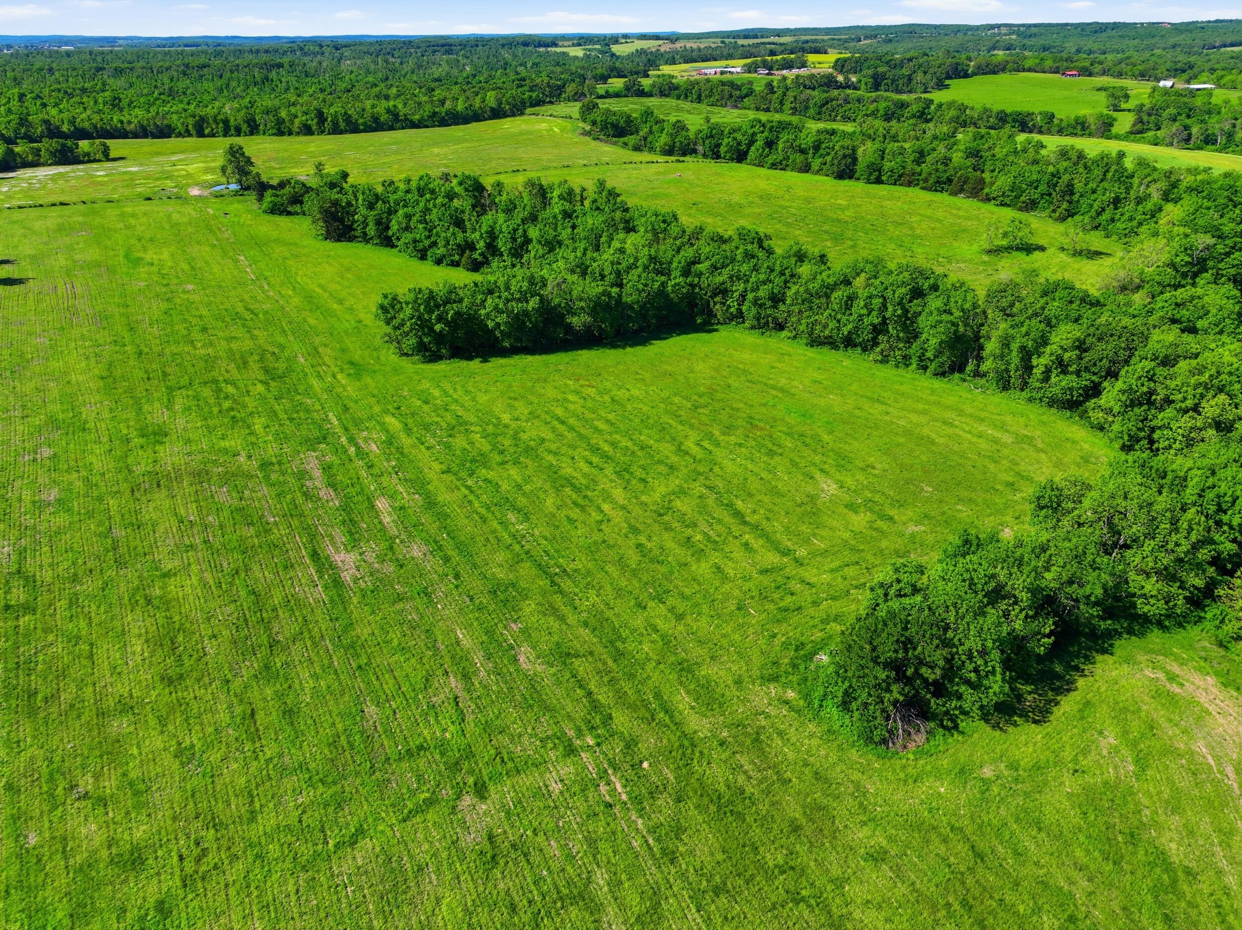 9290 Burton Branch Road Property Photo 37